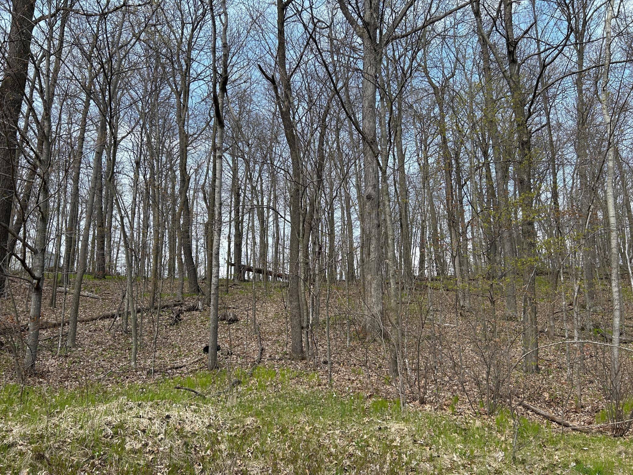 land for sale at 51XX Banyan Drive in Garrison, MN