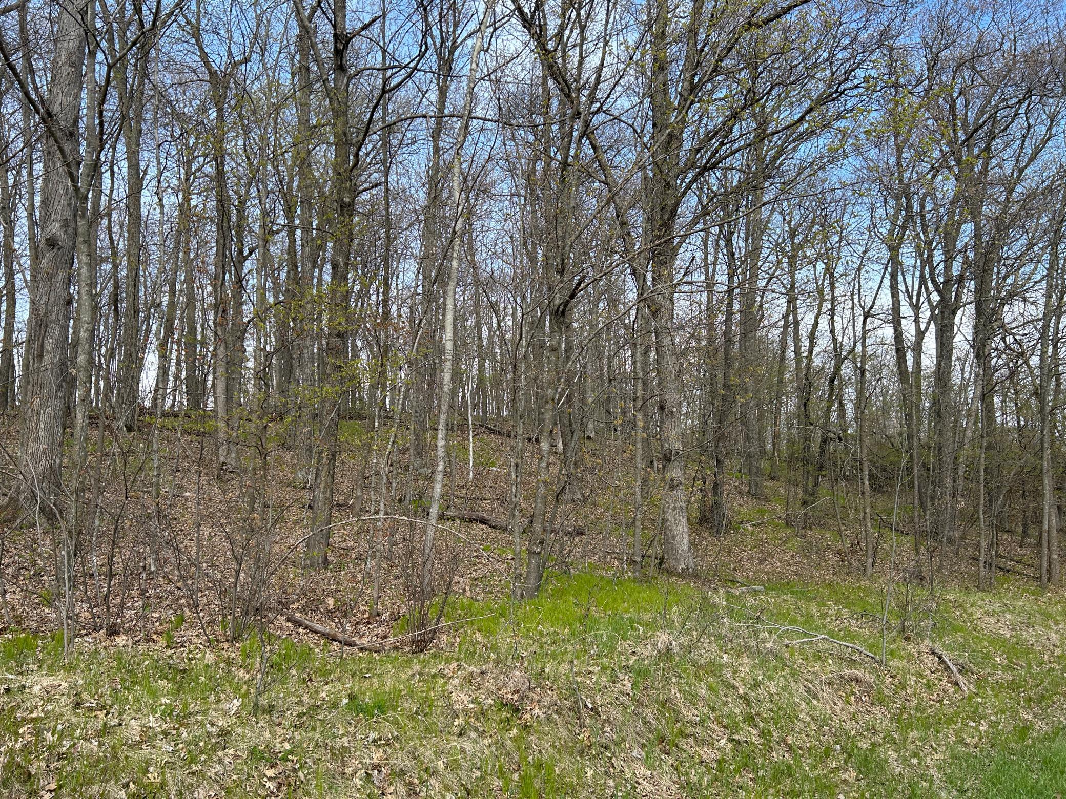 land for sale at 51XX Banyan Drive in Garrison, MN (photo 2 of 6)