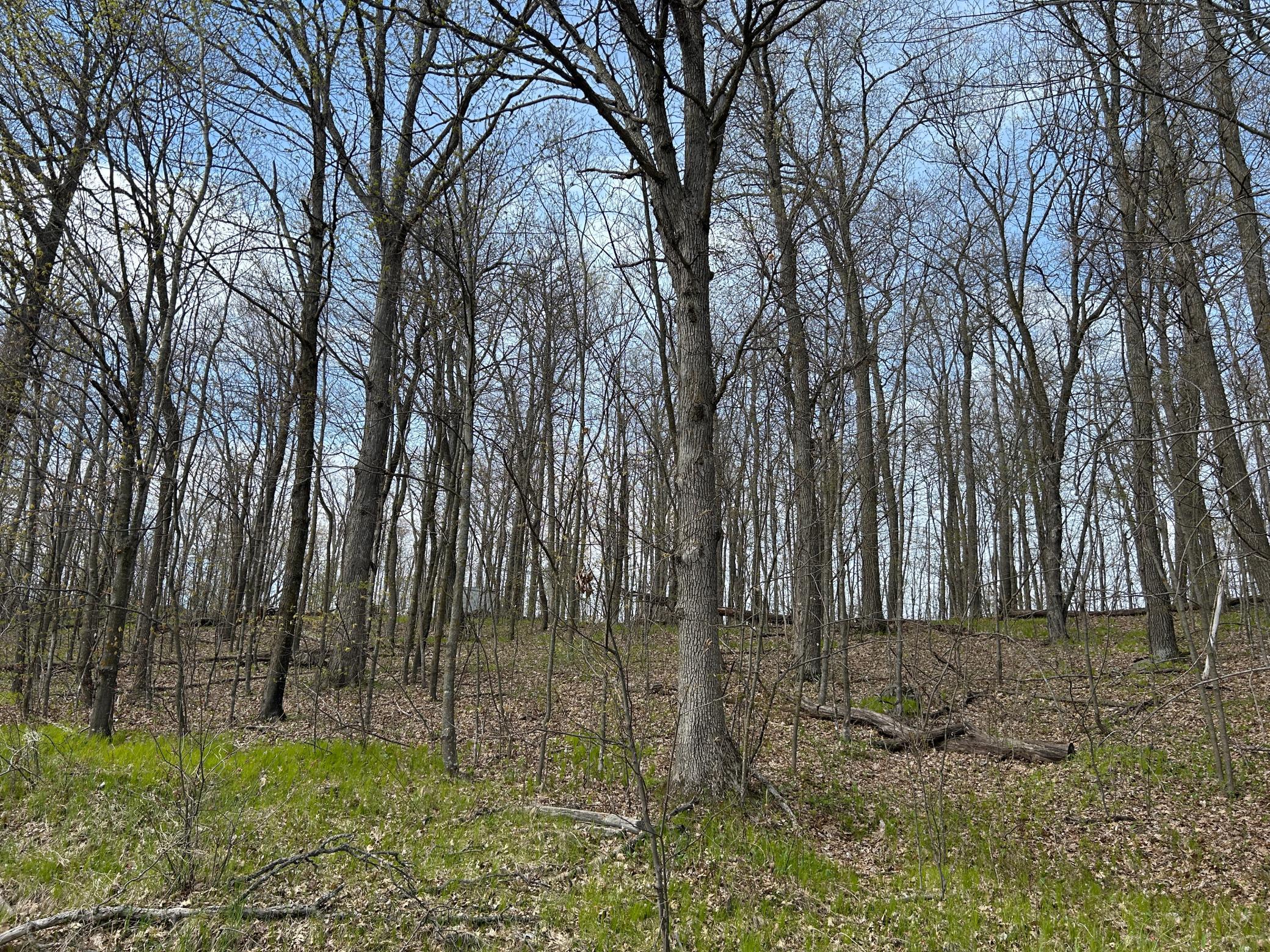 land for sale at 51XX Banyan Drive in Garrison, MN (photo 4 of 6)