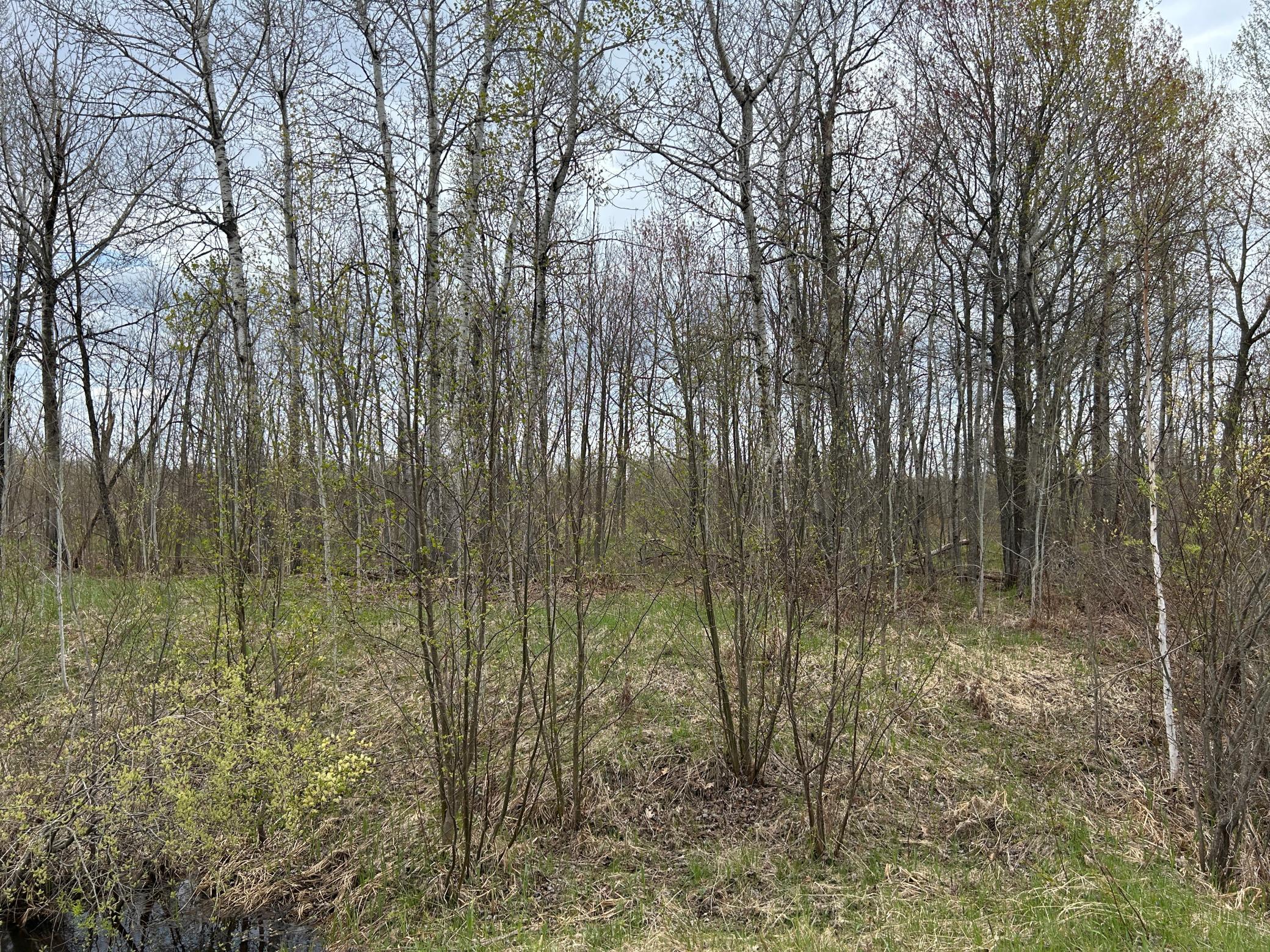 TBD 250th Street, Aitkin MN 56431 - Photo 3 of 4