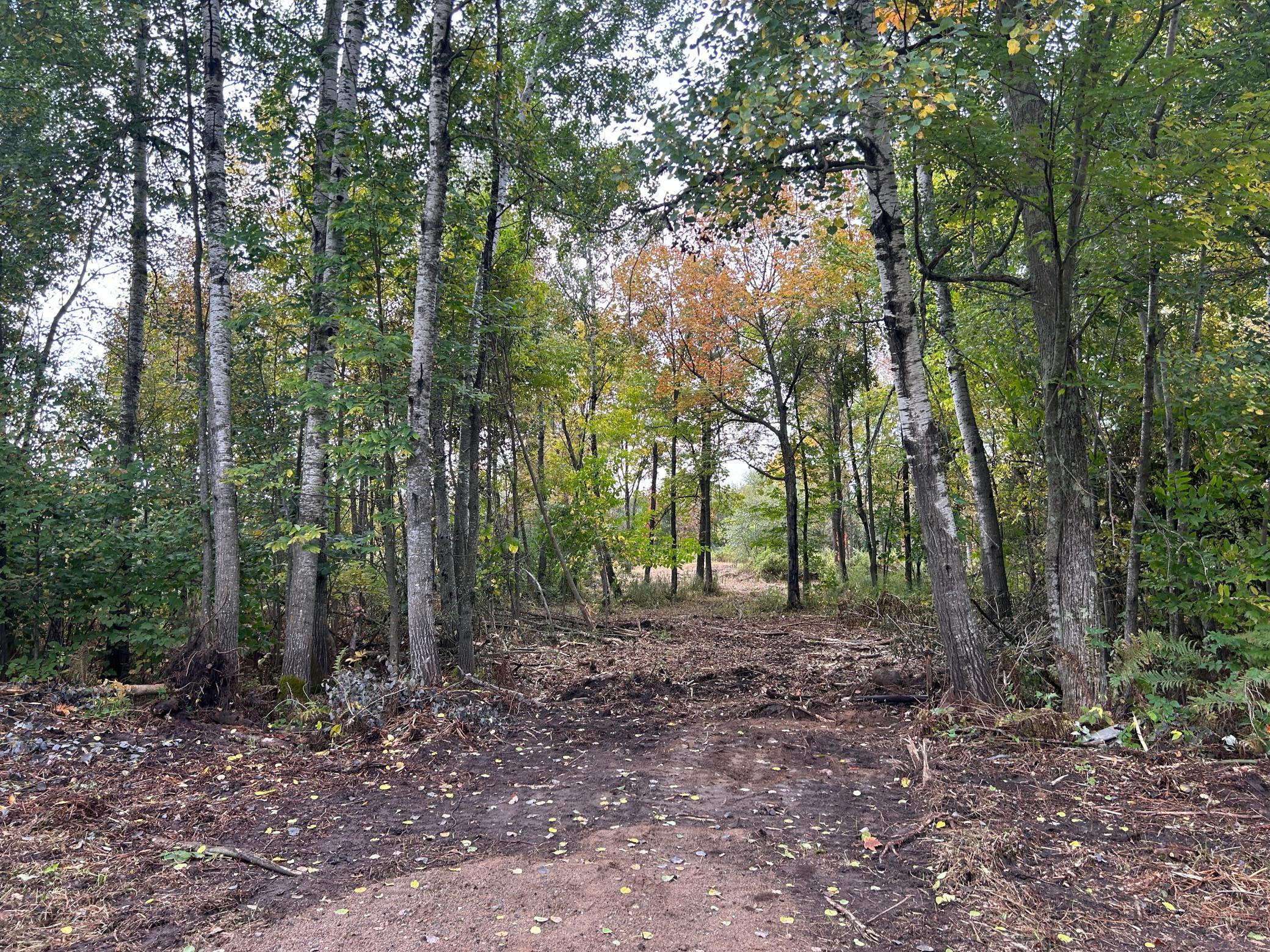 land for sale at TBD 250th Street in Aitkin, MN (photo 2 of 13)