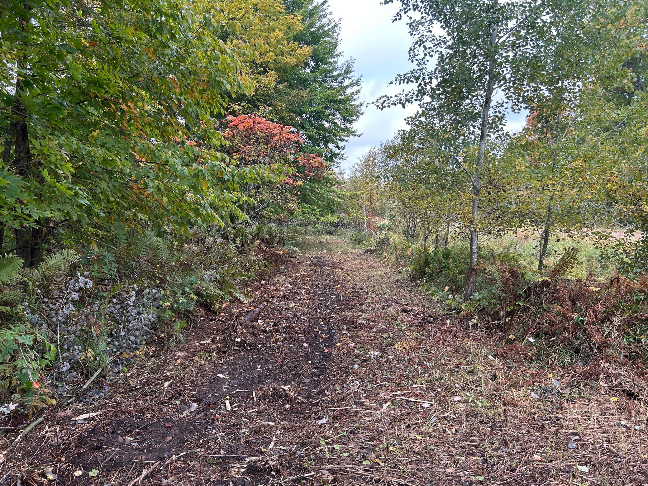 land for sale at TBD 250th Street in Aitkin, MN (photo 4 of 13)