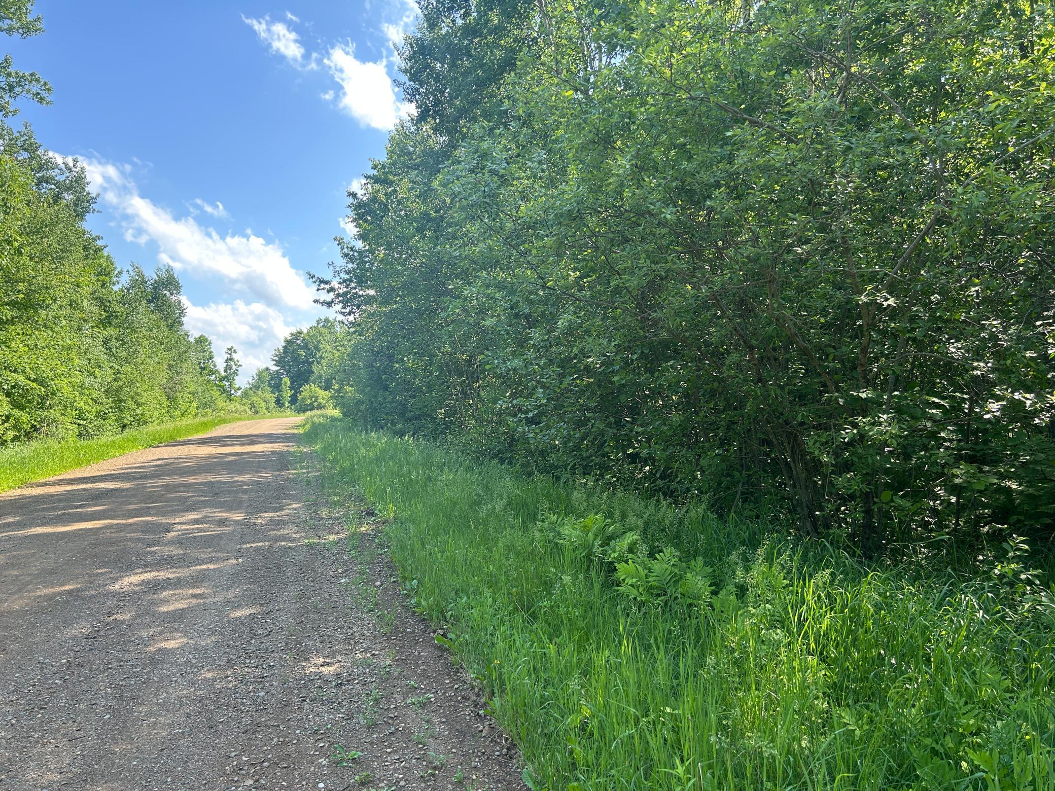 land for sale at TBD 250th Street in Aitkin, MN (photo 5 of 13)