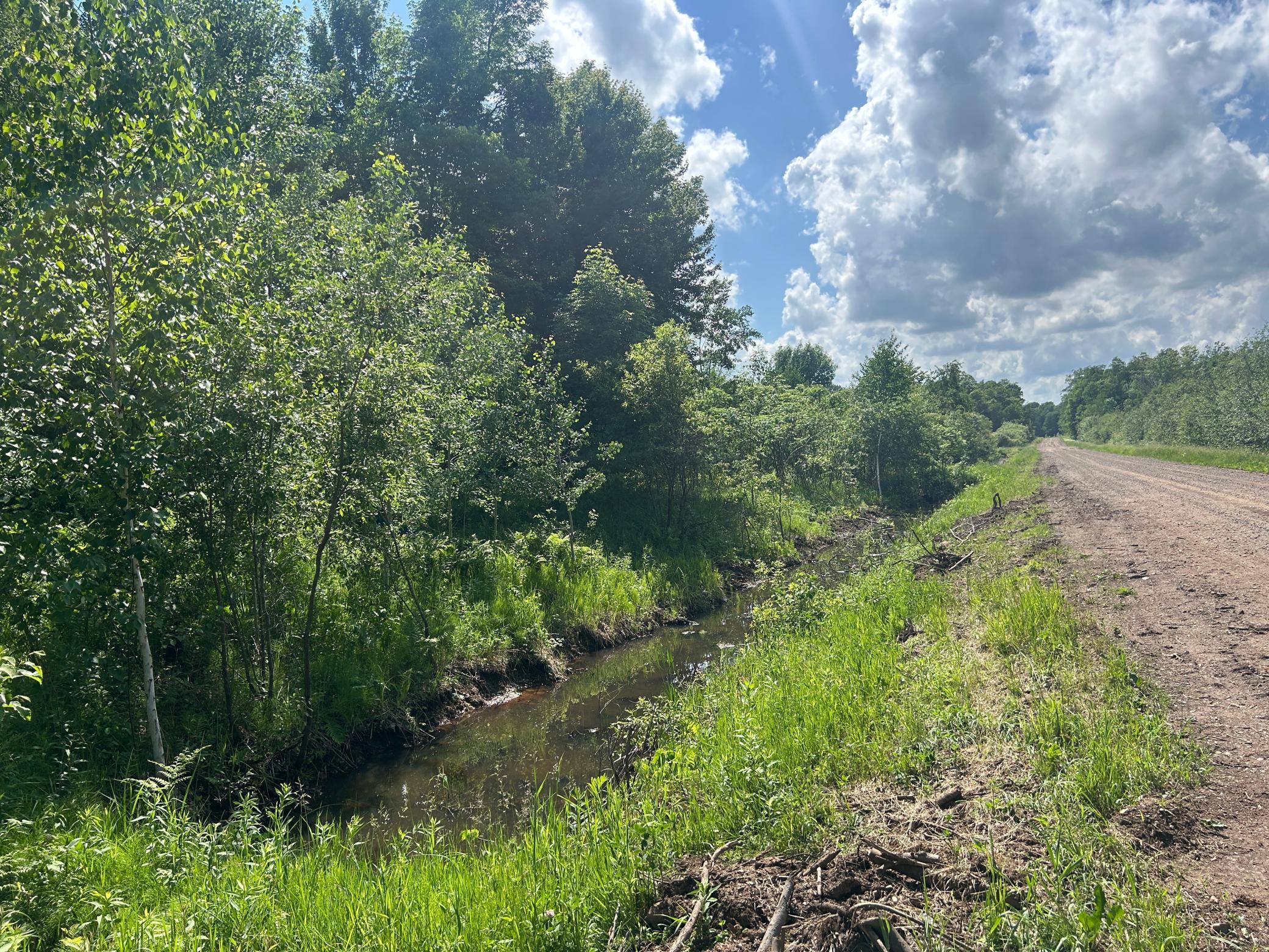 land for sale at TBD 250th Street in Aitkin, MN (photo 7 of 13)