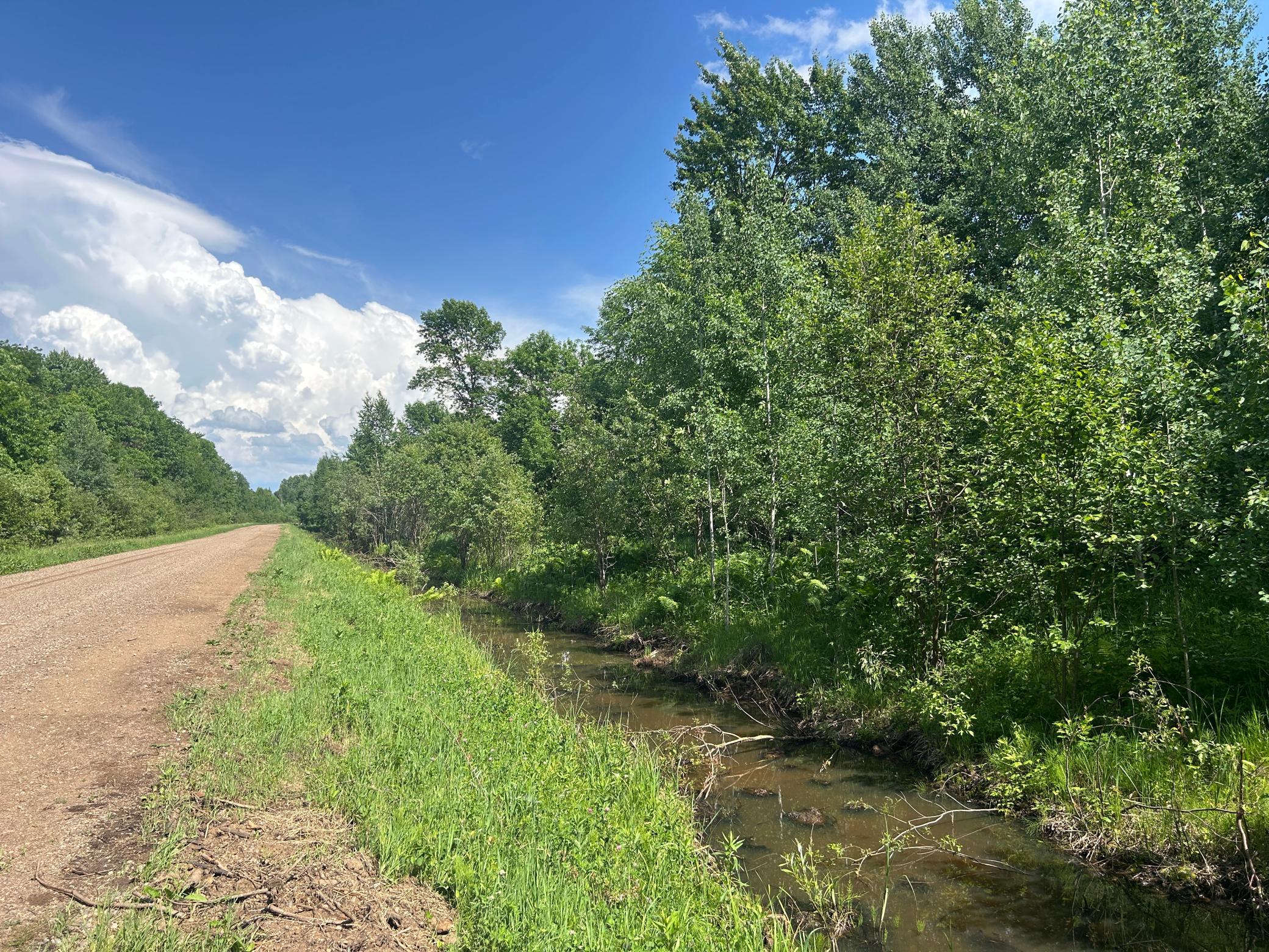land for sale at TBD 250th Street in Aitkin, MN (photo 8 of 13)