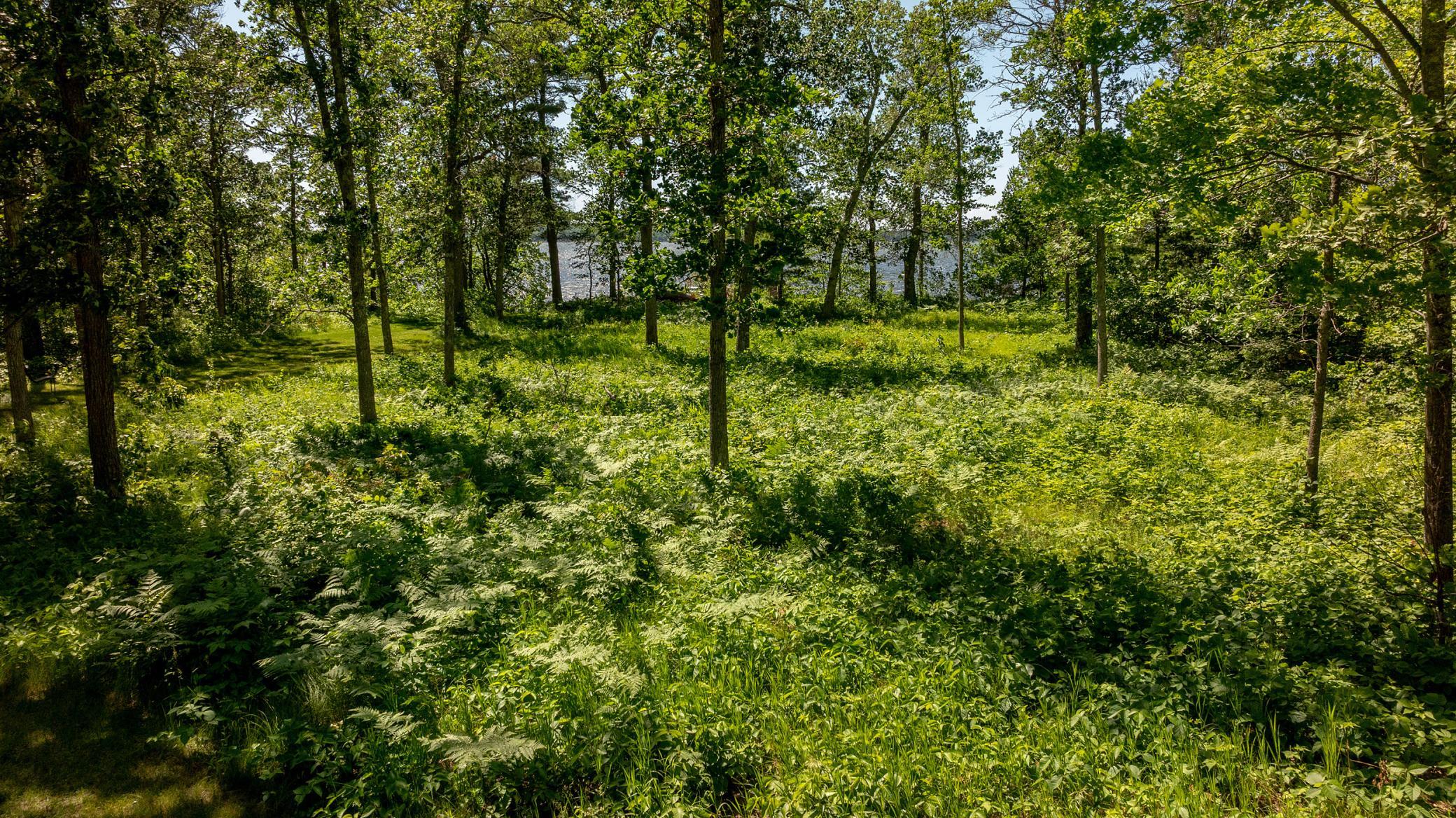 11027 Oak Point Road NW, Cass Lake MN 56633 - Photo 38 of 43