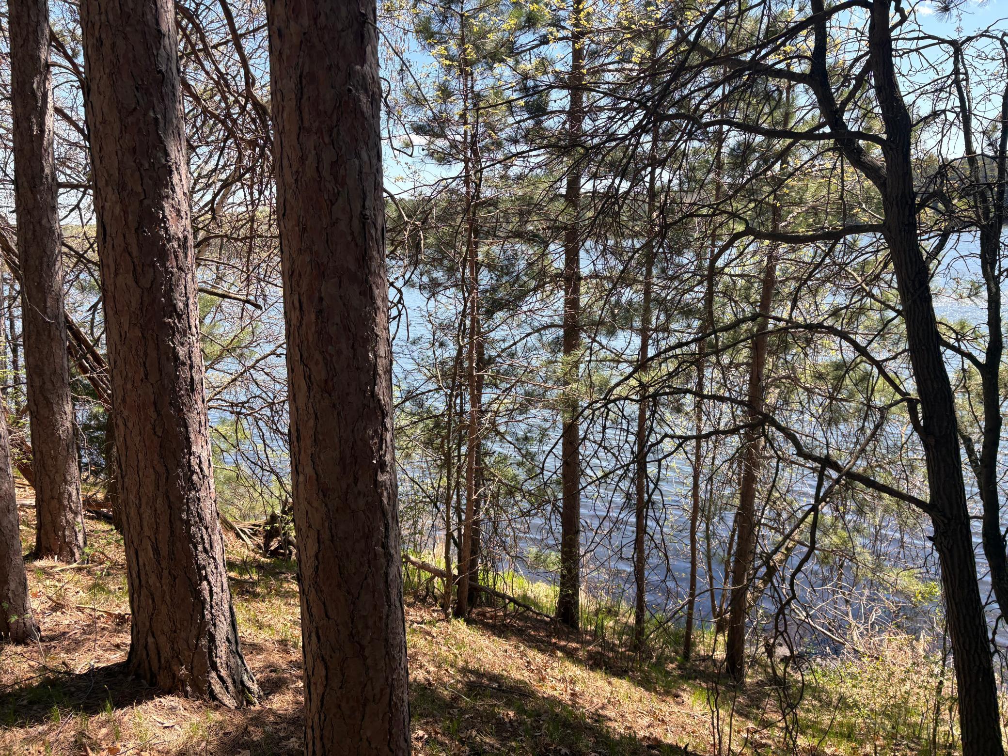 land for sale at 31XXX Nordenstua Lane in Pequot Lakes, MN (photo 13 of 19)
