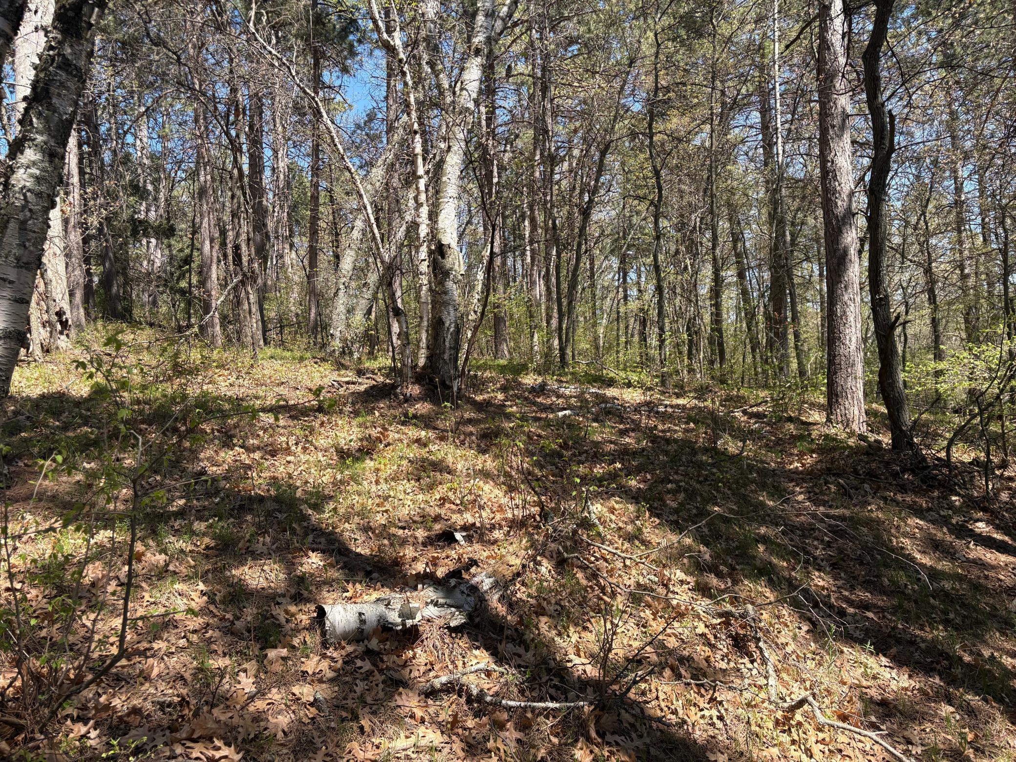 land for sale at 31XXX Nordenstua Lane in Pequot Lakes, MN (photo 14 of 19)