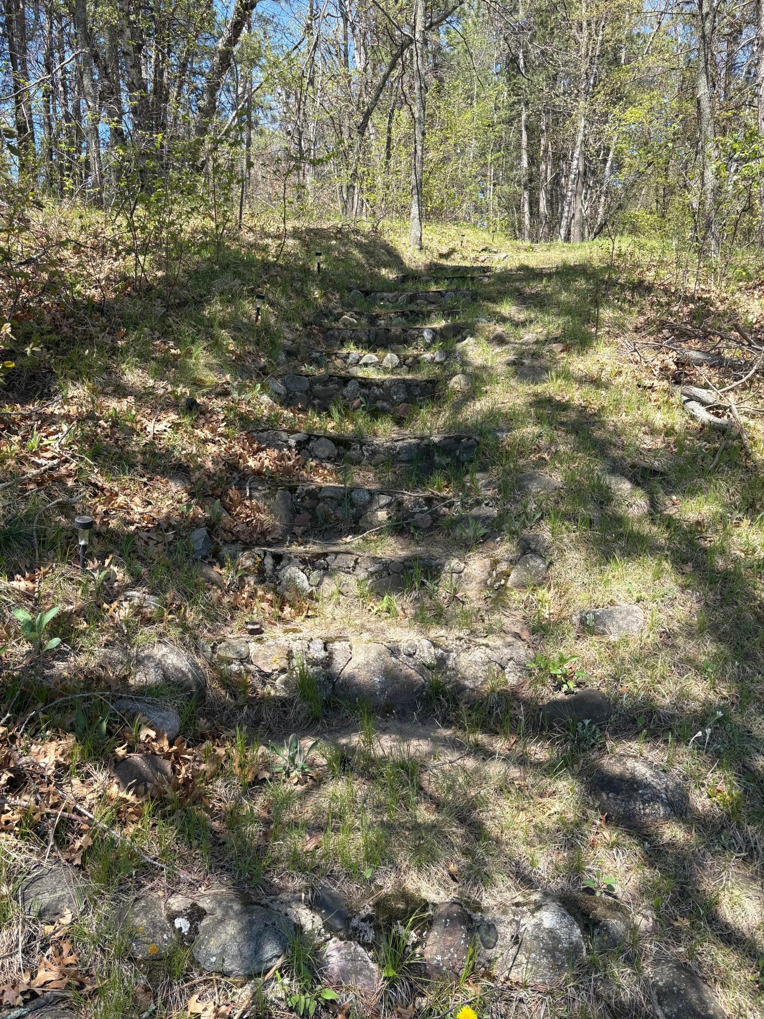 land for sale at 31XXX Nordenstua Lane in Pequot Lakes, MN (photo 16 of 19)