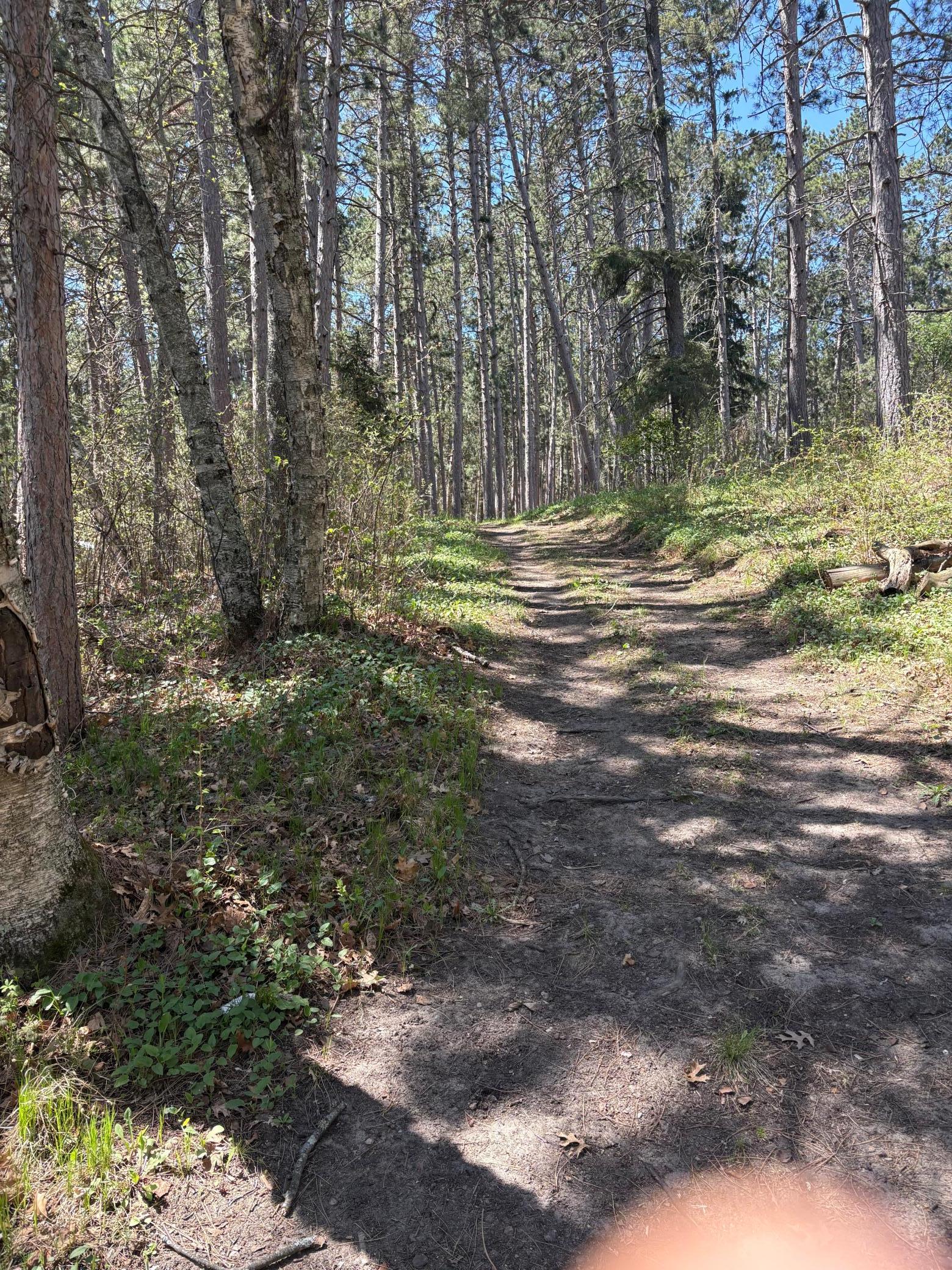 land for sale at 31XXX Nordenstua Lane in Pequot Lakes, MN (photo 18 of 19)
