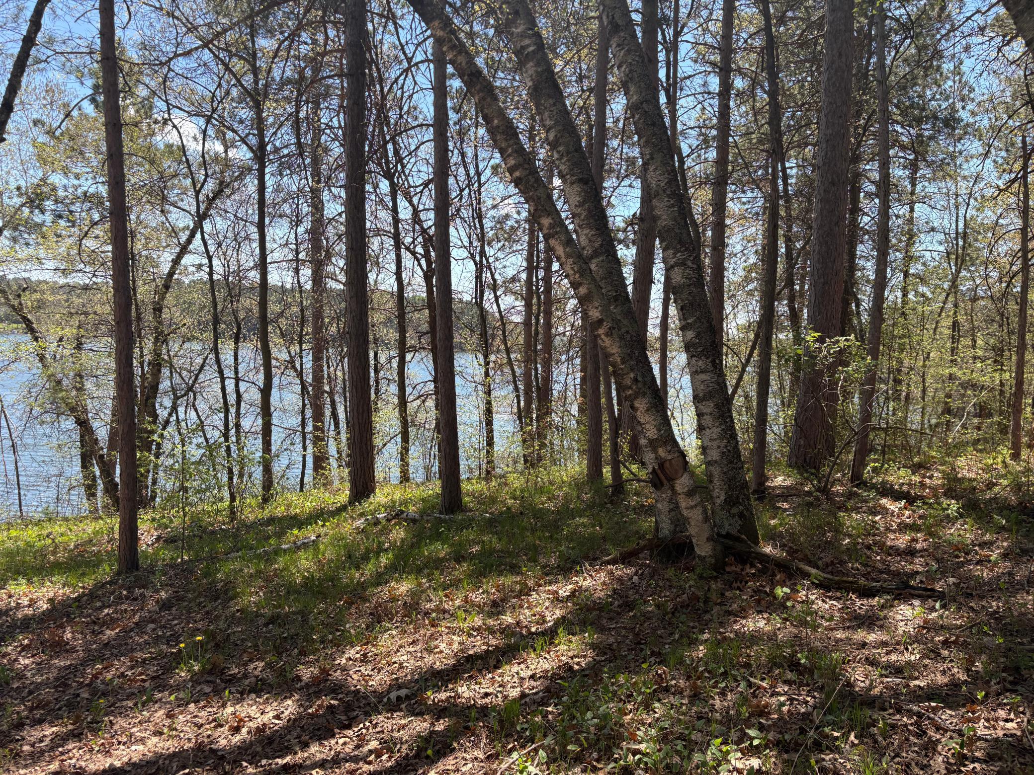 land for sale at 31XXX Nordenstua Lane in Pequot Lakes, MN (photo 19 of 19)