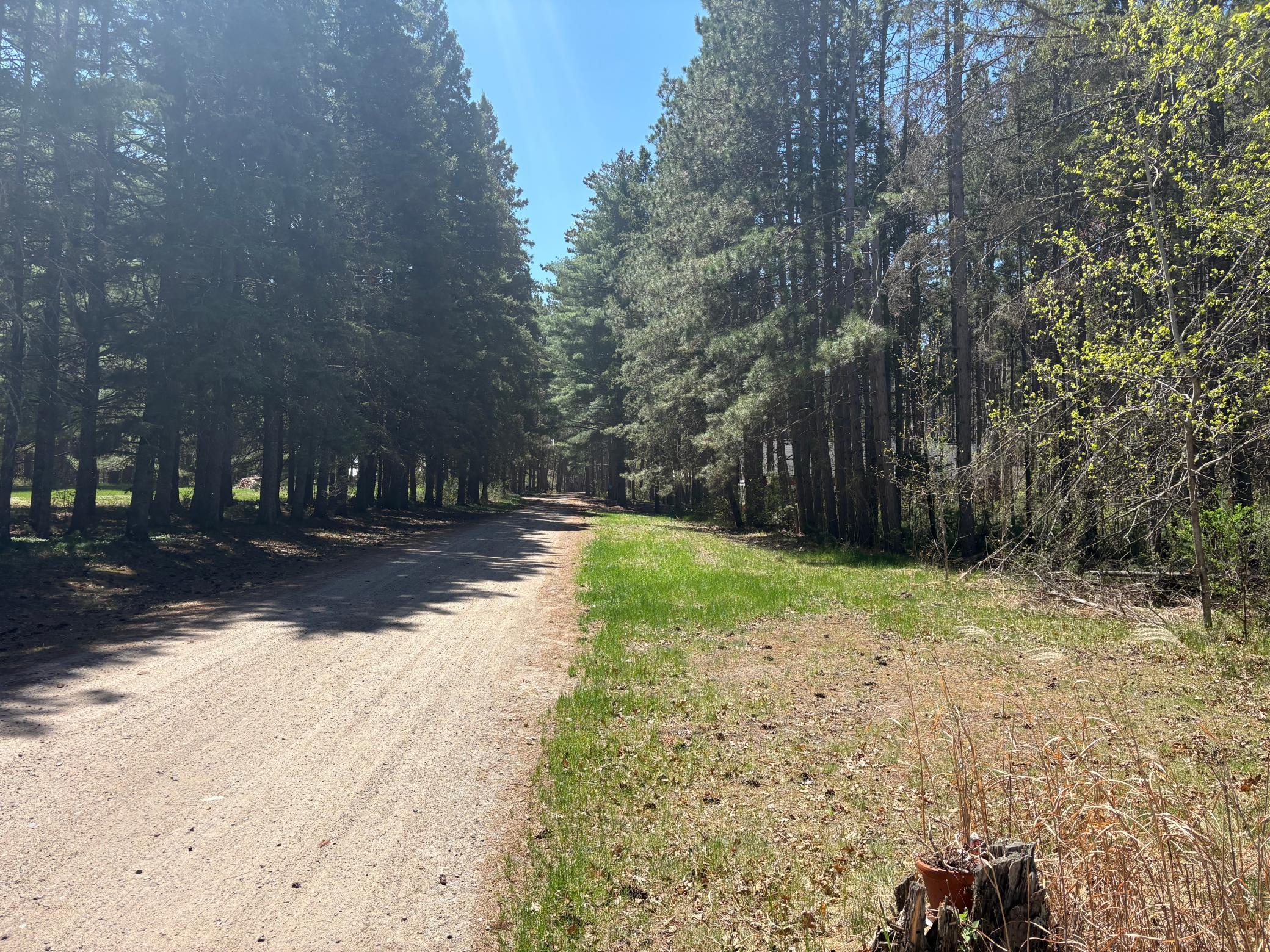land for sale at 31XXX Nordenstua Lane in Pequot Lakes, MN (photo 8 of 19)