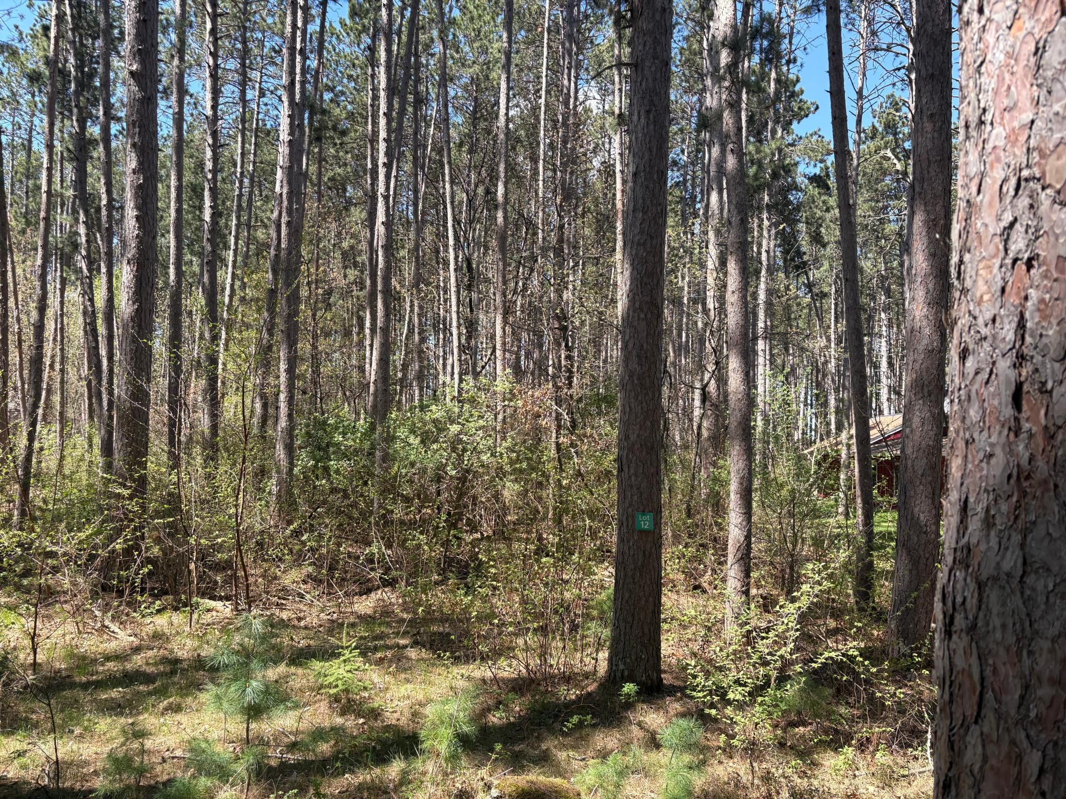 land for sale at 31XXX Nordenstua Lane in Pequot Lakes, MN (photo 9 of 19)