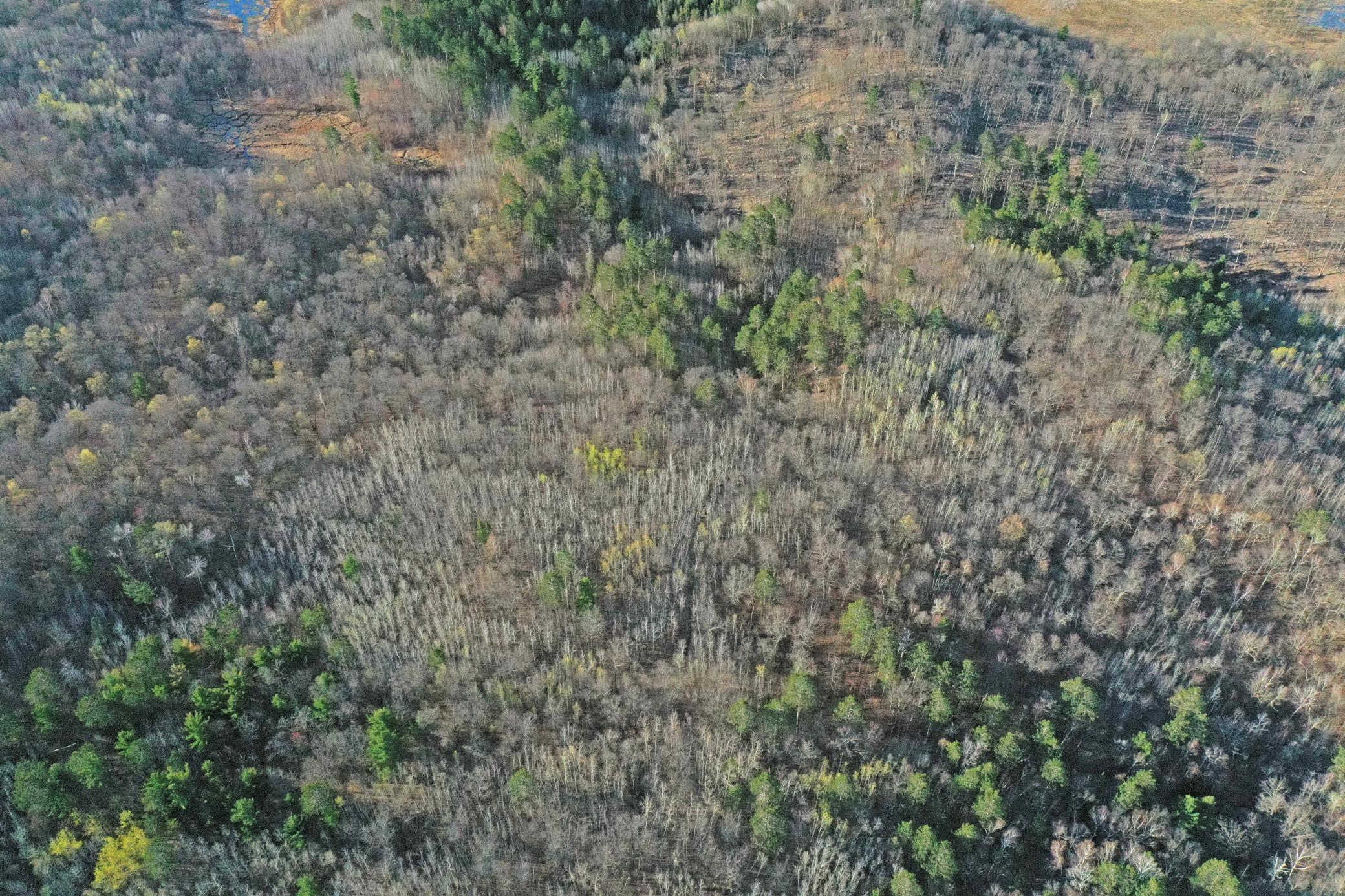 land for sale at 0000 Smoky Hills Trail in Osage, MN (photo 17 of 54)