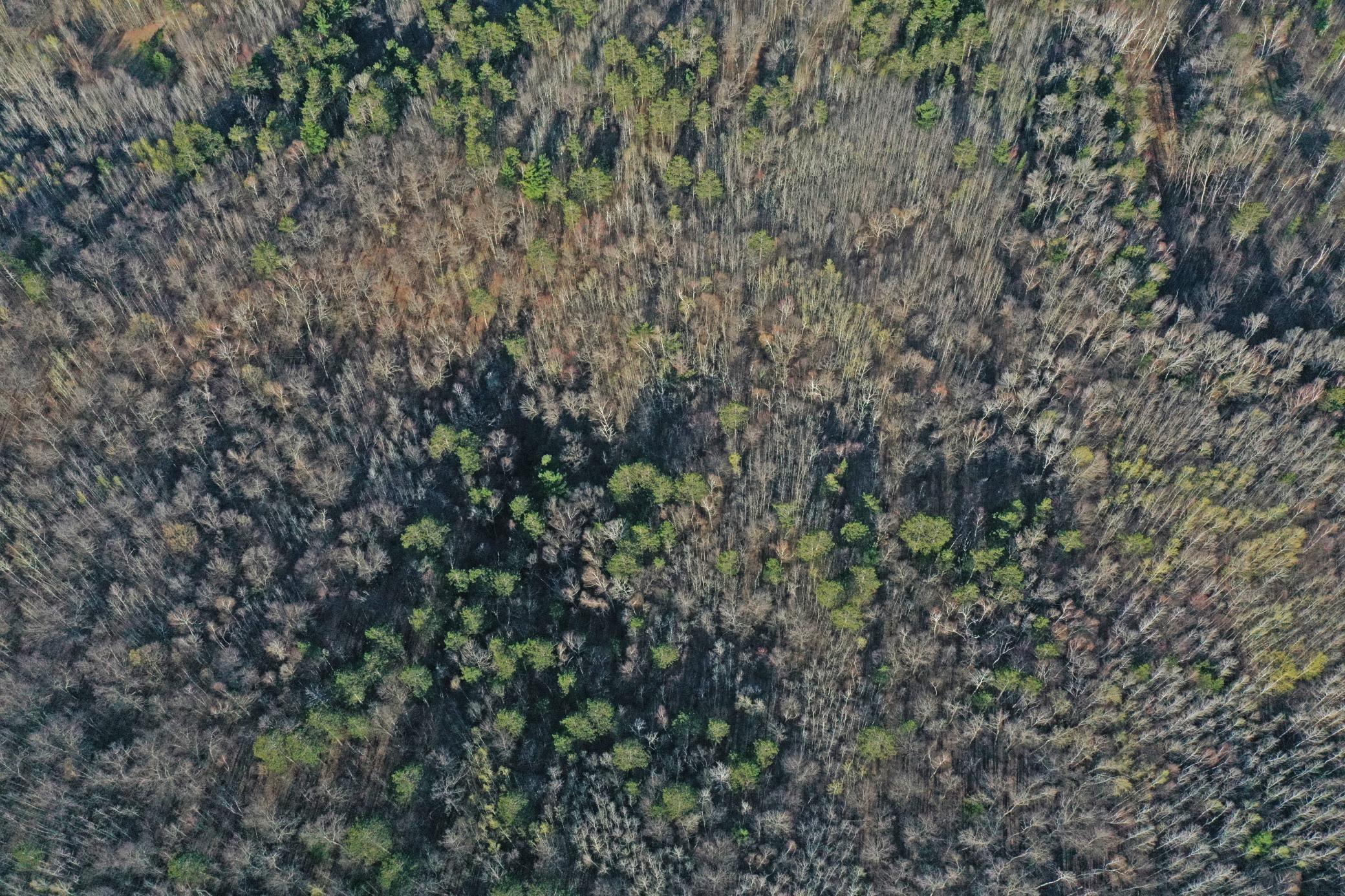 land for sale at 0000 Smoky Hills Trail in Osage, MN (photo 18 of 54)