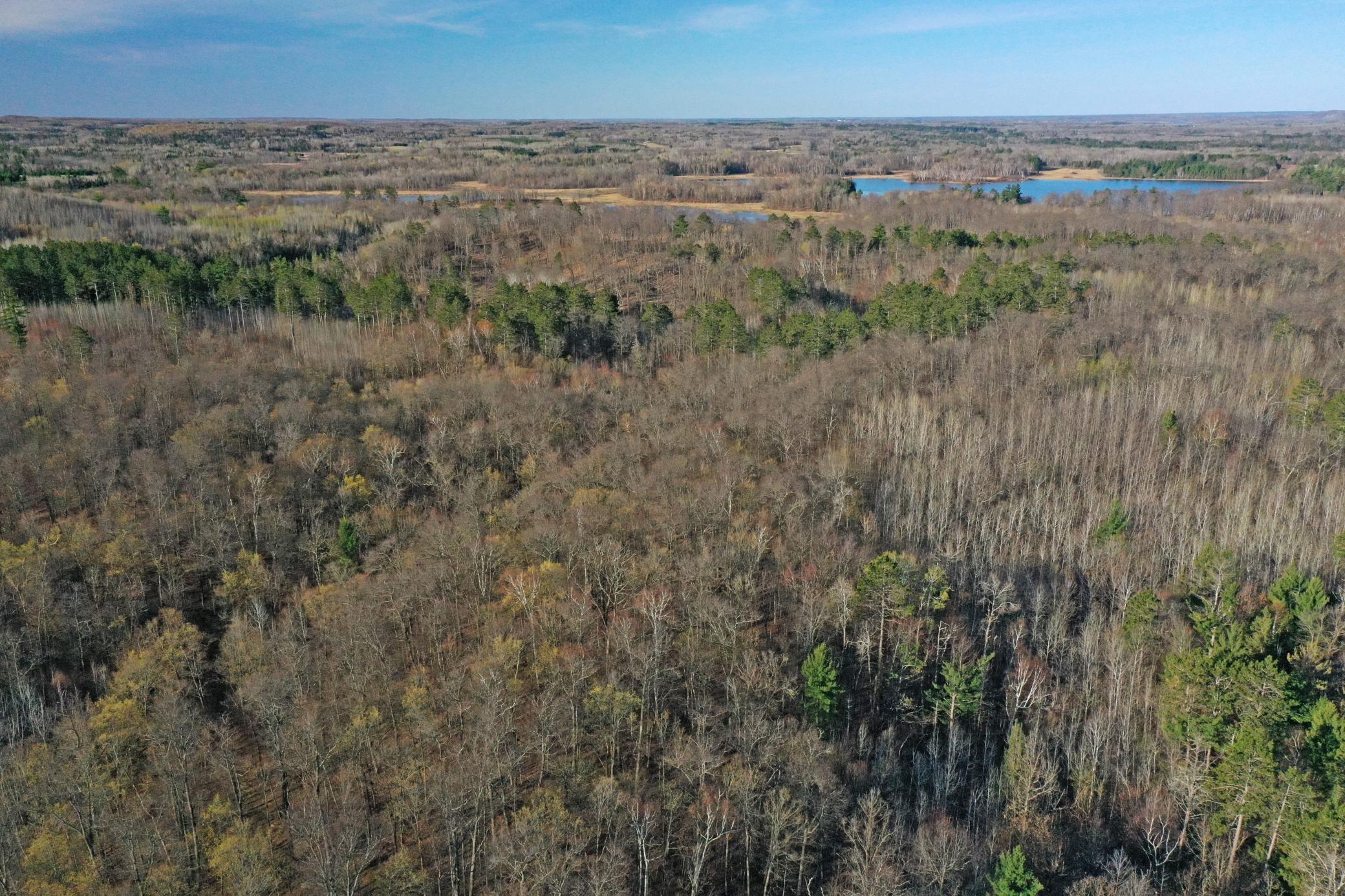 land for sale at 0000 Smoky Hills Trail in Osage, MN (photo 21 of 54)