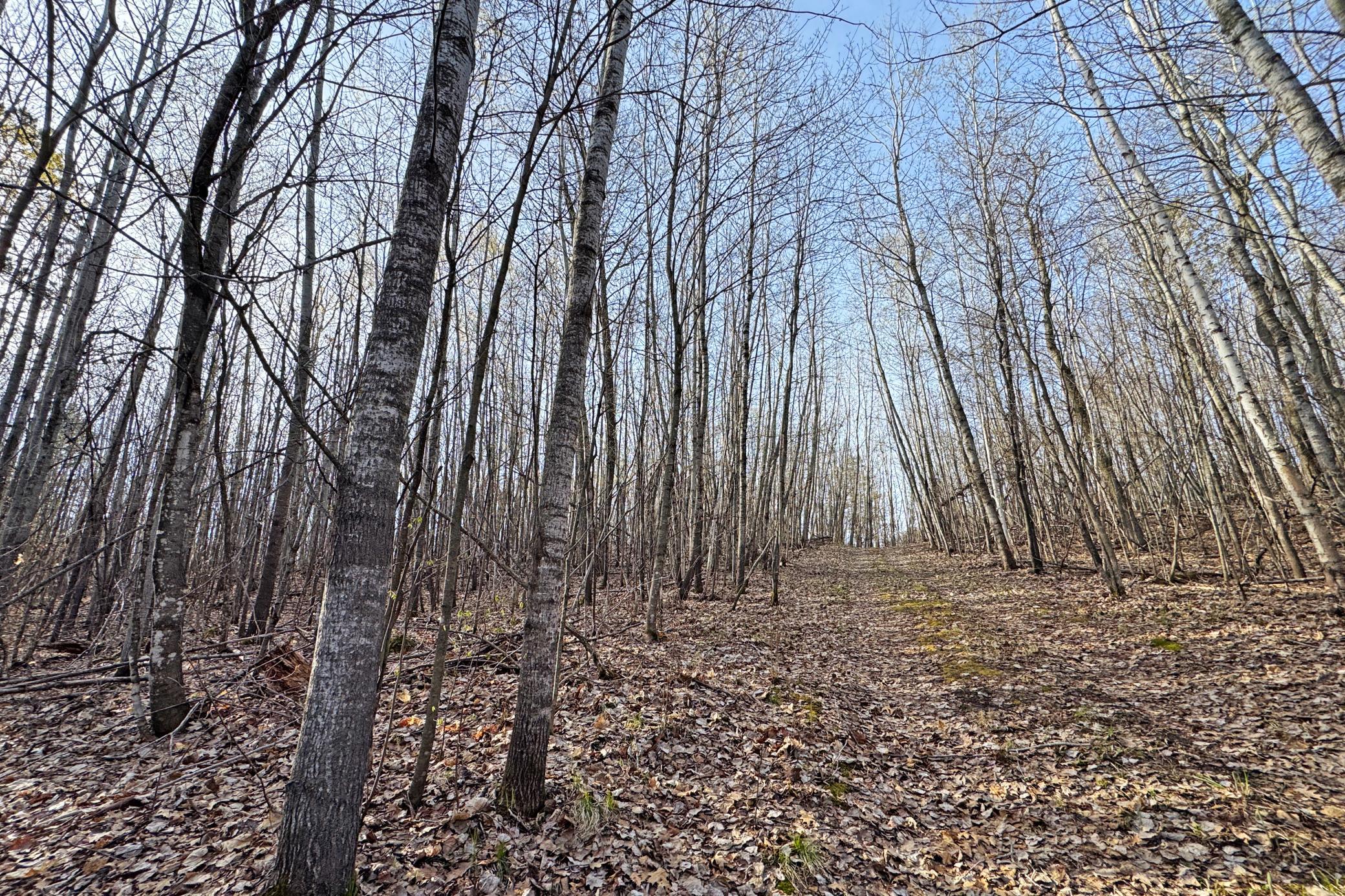land for sale at 0000 Smoky Hills Trail in Osage, MN (photo 44 of 54)