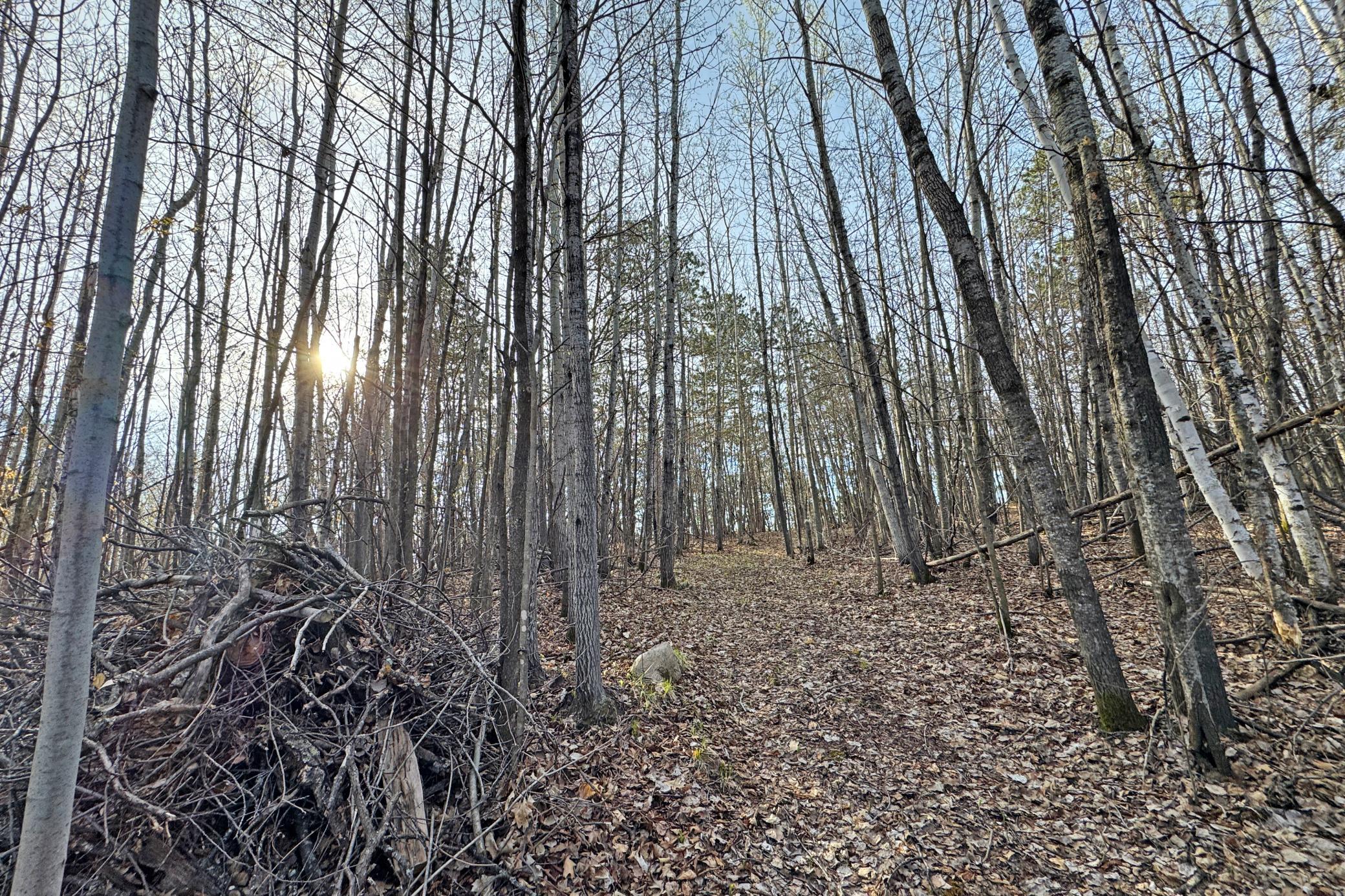 land for sale at 0000 Smoky Hills Trail in Osage, MN (photo 45 of 54)