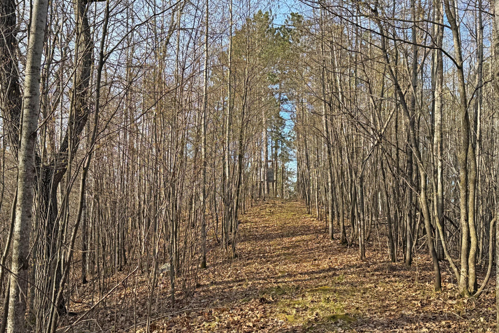 land for sale at 0000 Smoky Hills Trail in Osage, MN (photo 46 of 54)
