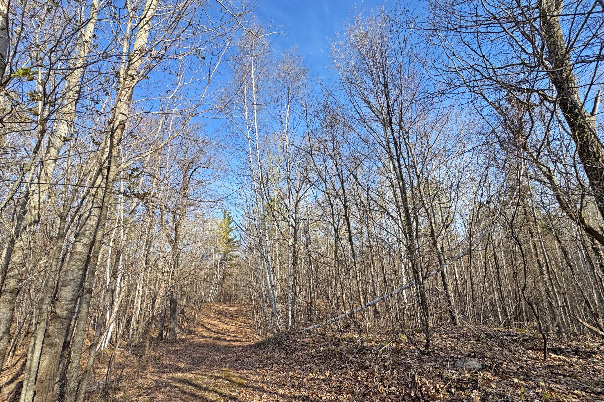 land for sale at 0000 Smoky Hills Trail in Osage, MN (photo 49 of 54)