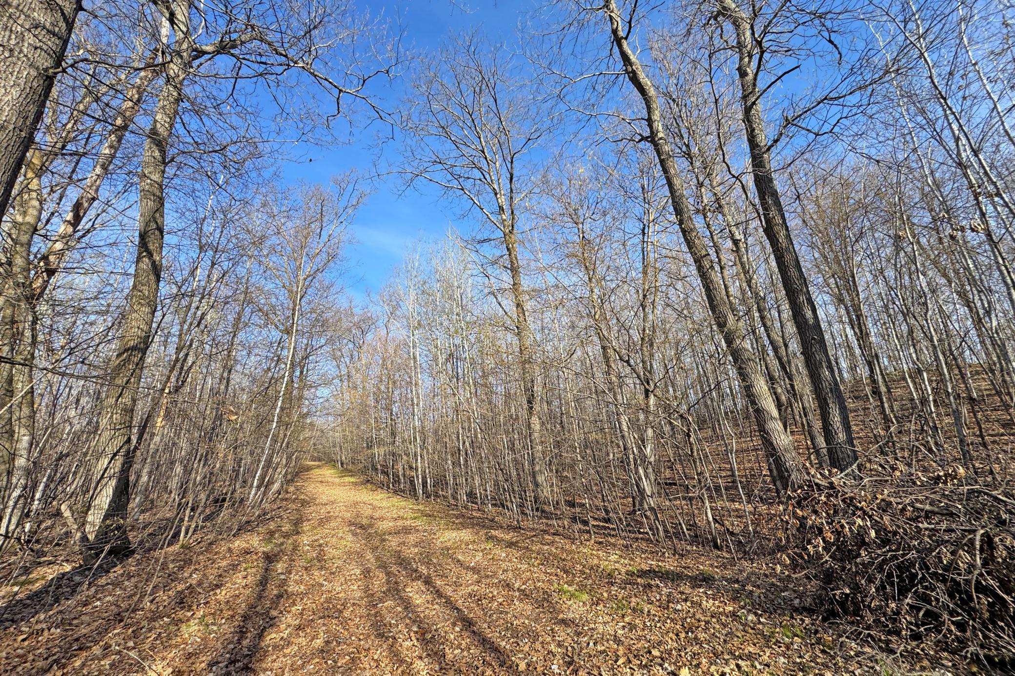 land for sale at 0000 Smoky Hills Trail in Osage, MN (photo 51 of 54)