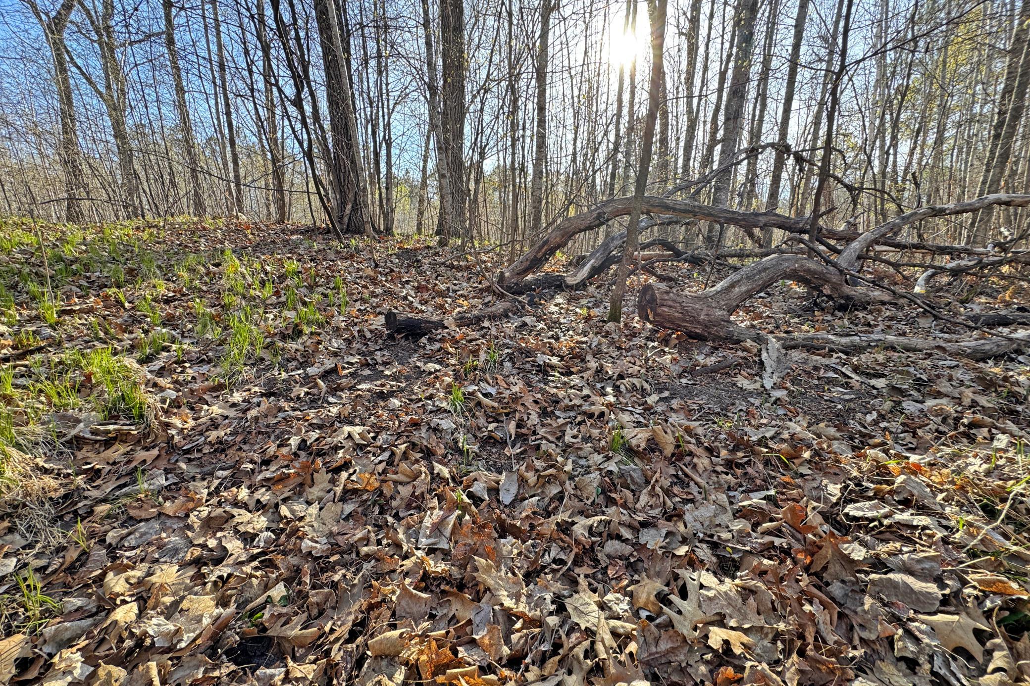 land for sale at 0000 Smoky Hills Trail in Osage, MN (photo 52 of 54)