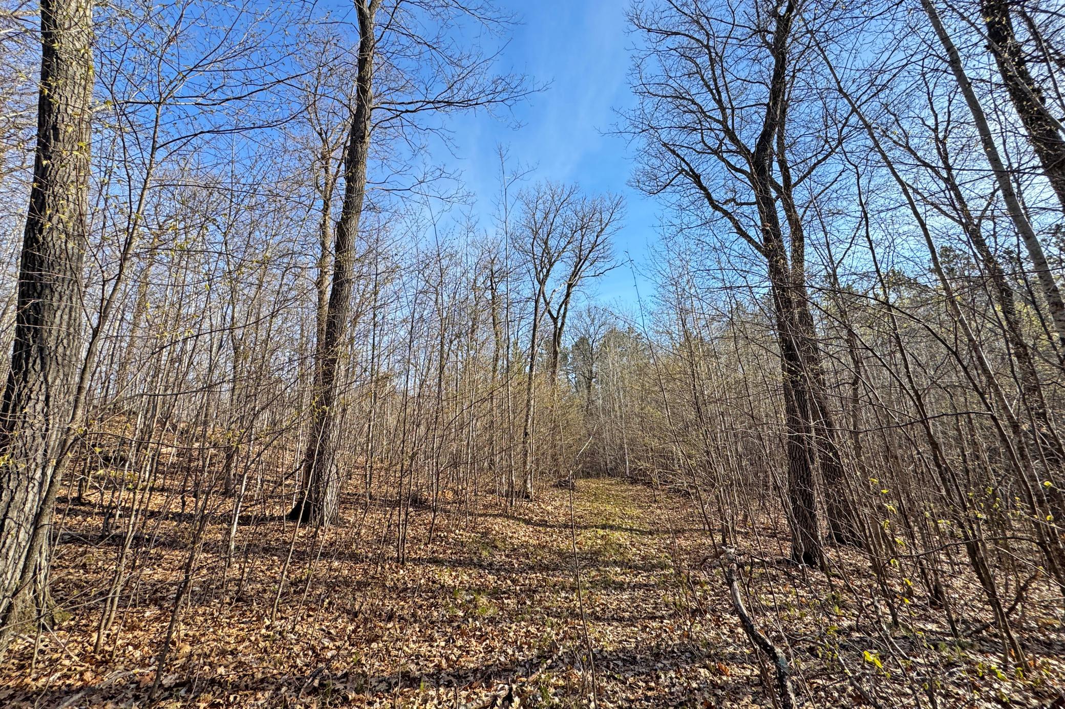 land for sale at 0000 Smoky Hills Trail in Osage, MN (photo 53 of 54)