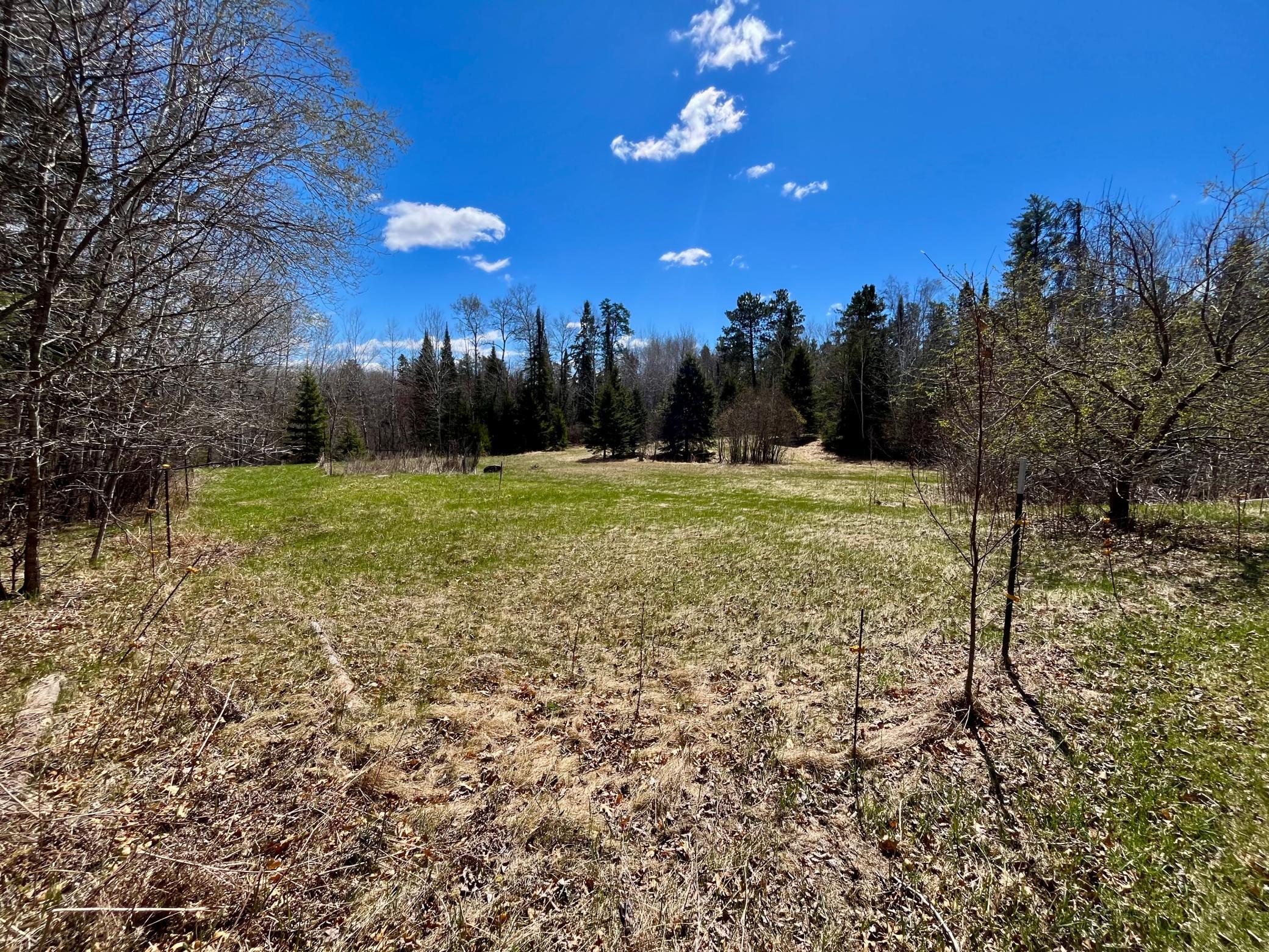 1978 single family home for sale at 1206 E Ottum Avenue in Bigfork, MN — 3 bed, 2 bath (photo 12 of 13)