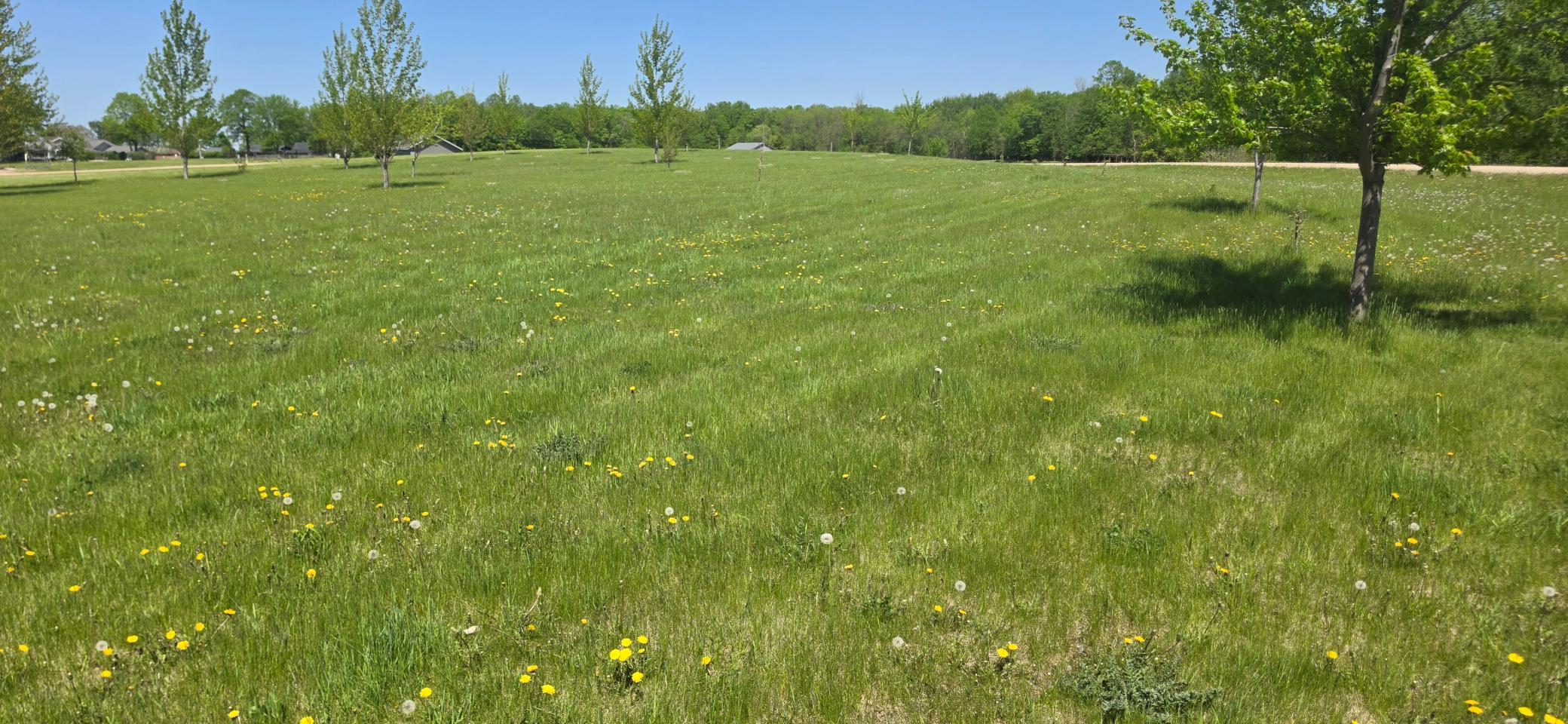 land for sale at TBD Meadows Circle in Audubon, MN (photo 2 of 3)