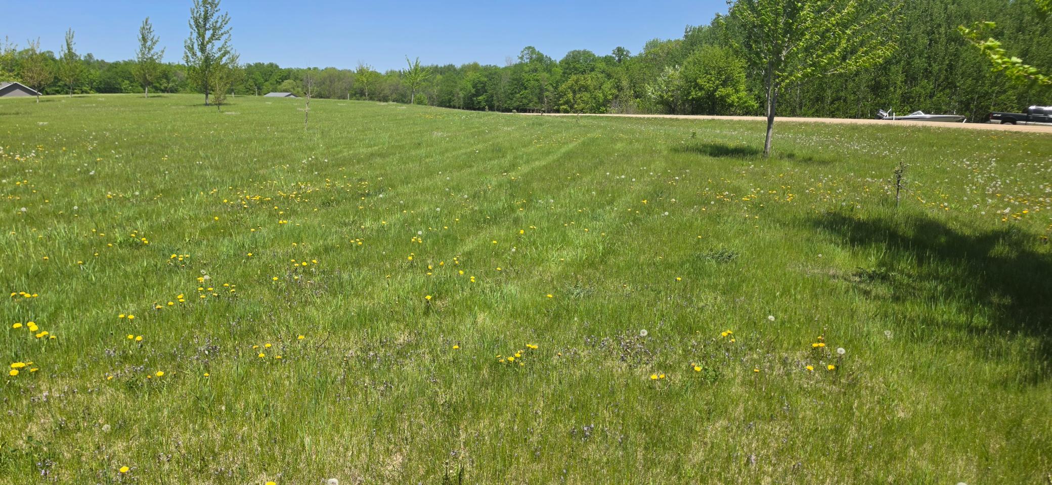 land for sale at TBD Meadows Circle in Audubon, MN (photo 3 of 3)