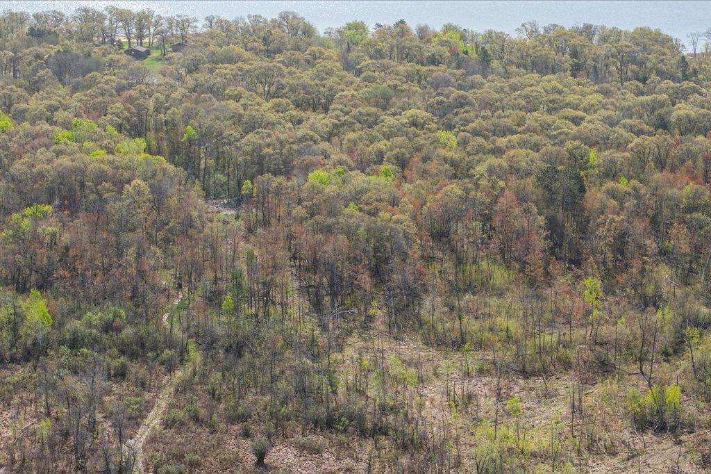 land for sale at TBD County Rd 3 in Nisswa, MN (photo 5 of 20)
