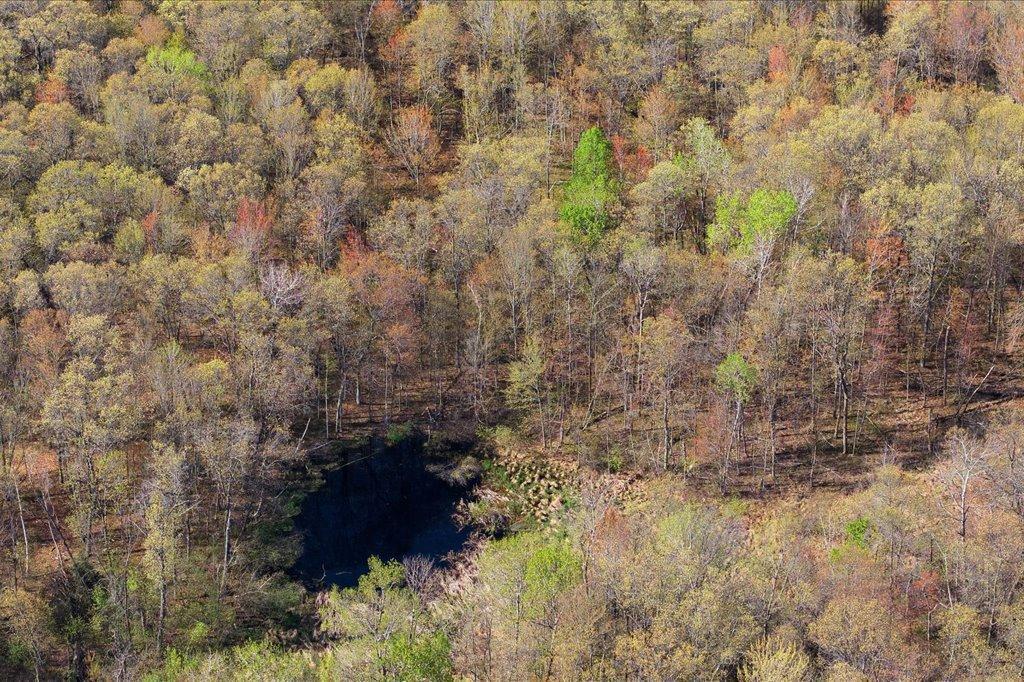land for sale at TBD County Rd 3 in Nisswa, MN (photo 8 of 20)
