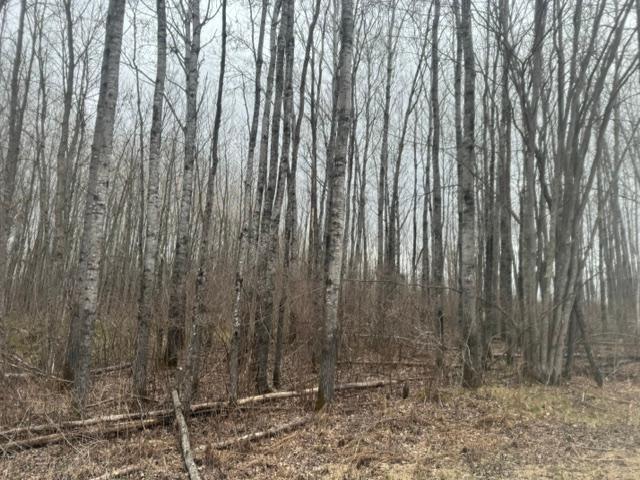 XXX Frazer Road, Deer River MN 56631 - Photo 2 of 5