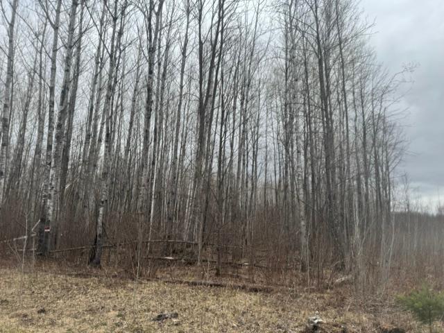 XXX Frazer Road, Deer River MN 56631 - Photo 3 of 5