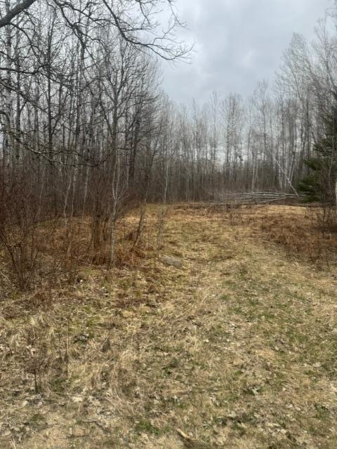XXX Frazer Road, Deer River MN 56631 - Photo 5 of 5