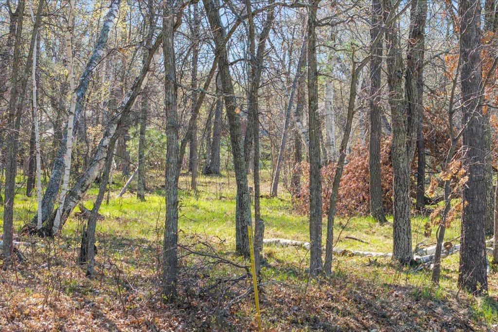 land for sale at 34xxx Lot 1 Happy Landing Road in Cross Lake, MN (photo 18 of 22)