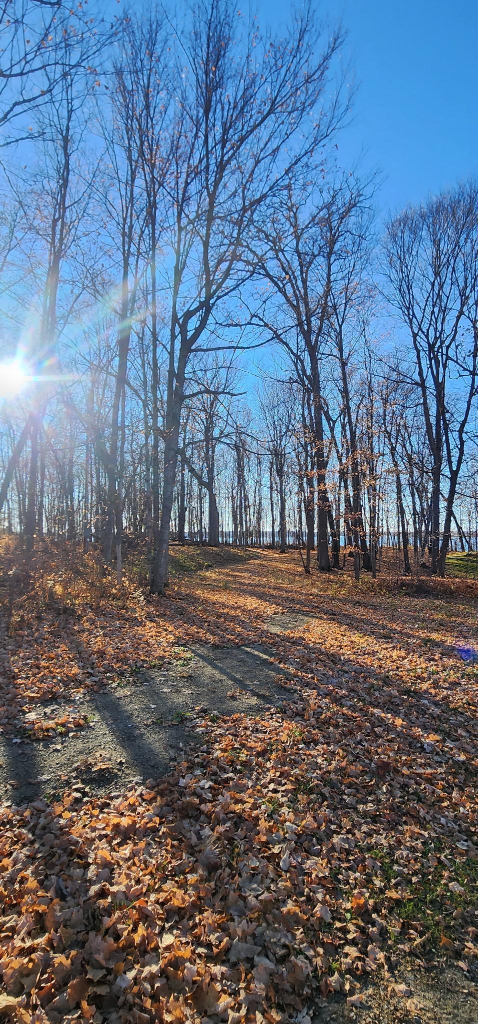 land for sale at XXXX Diamond Trail NW in Walker, MN (photo 11 of 12)