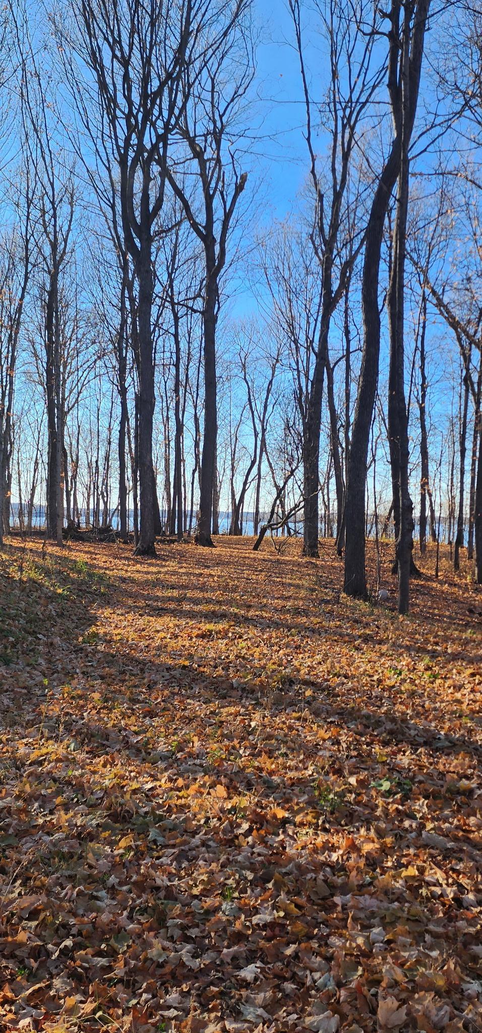 land for sale at XXXX Diamond Trail NW in Walker, MN (photo 6 of 12)