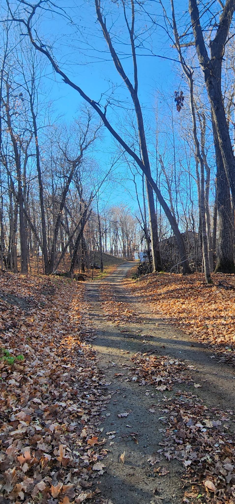 land for sale at XXXX Diamond Trail NW in Walker, MN (photo 7 of 12)