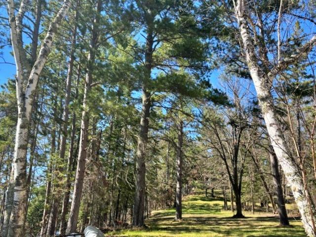 1952 single family home for sale at 27965 County 7 in Park Rapids, MN — 3 bed, 3 bath (photo 5 of 16)