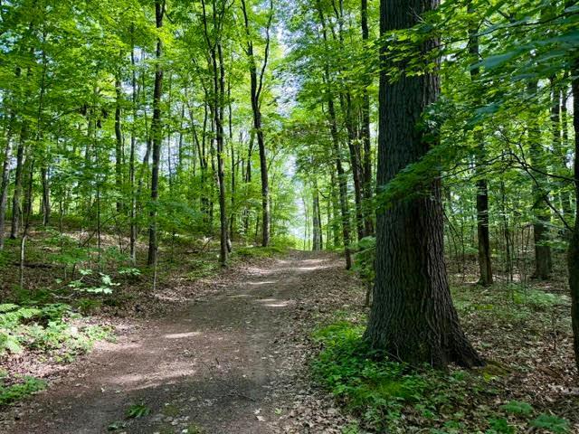 1975 single family home for sale at 45940 295th Street in Deerwood, MN — 6 bed, 6 bath (photo 4 of 90)