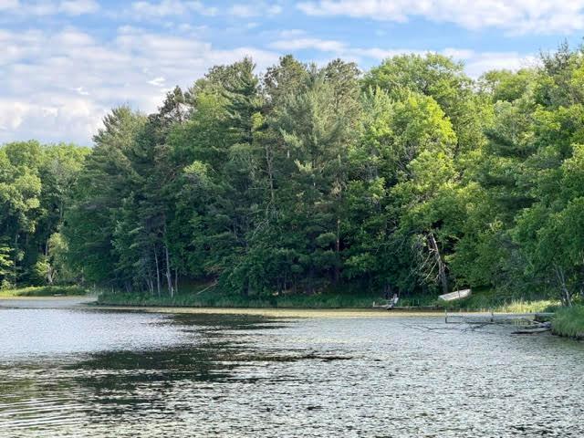 1975 single family home for sale at 45940 295th Street in Deerwood, MN — 6 bed, 6 bath (photo 58 of 90)