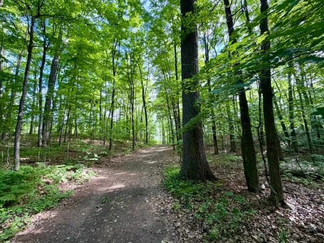1975 single family home for sale at 45940 295th Street in Deerwood, MN — 6 bed, 6 bath (photo 72 of 90)