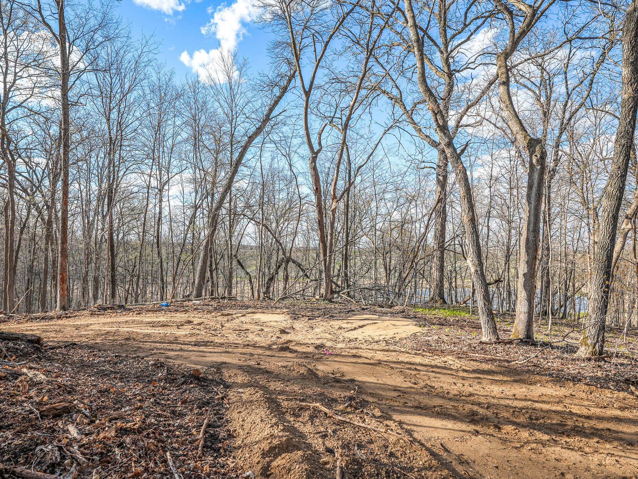 land for sale at 380XX 280th Ave [M] in Dent, MN (photo 11 of 17)