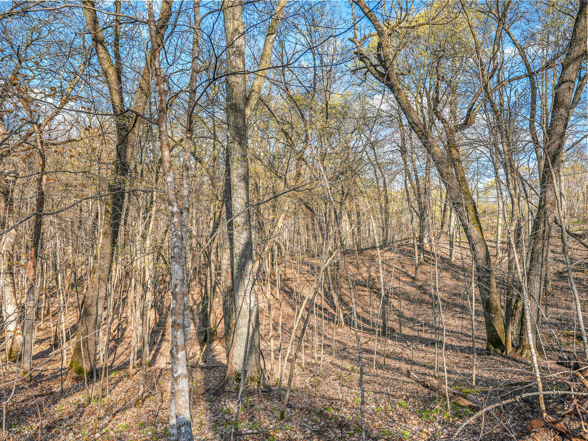 land for sale at 380XX 280th Ave [M] in Dent, MN (photo 12 of 17)