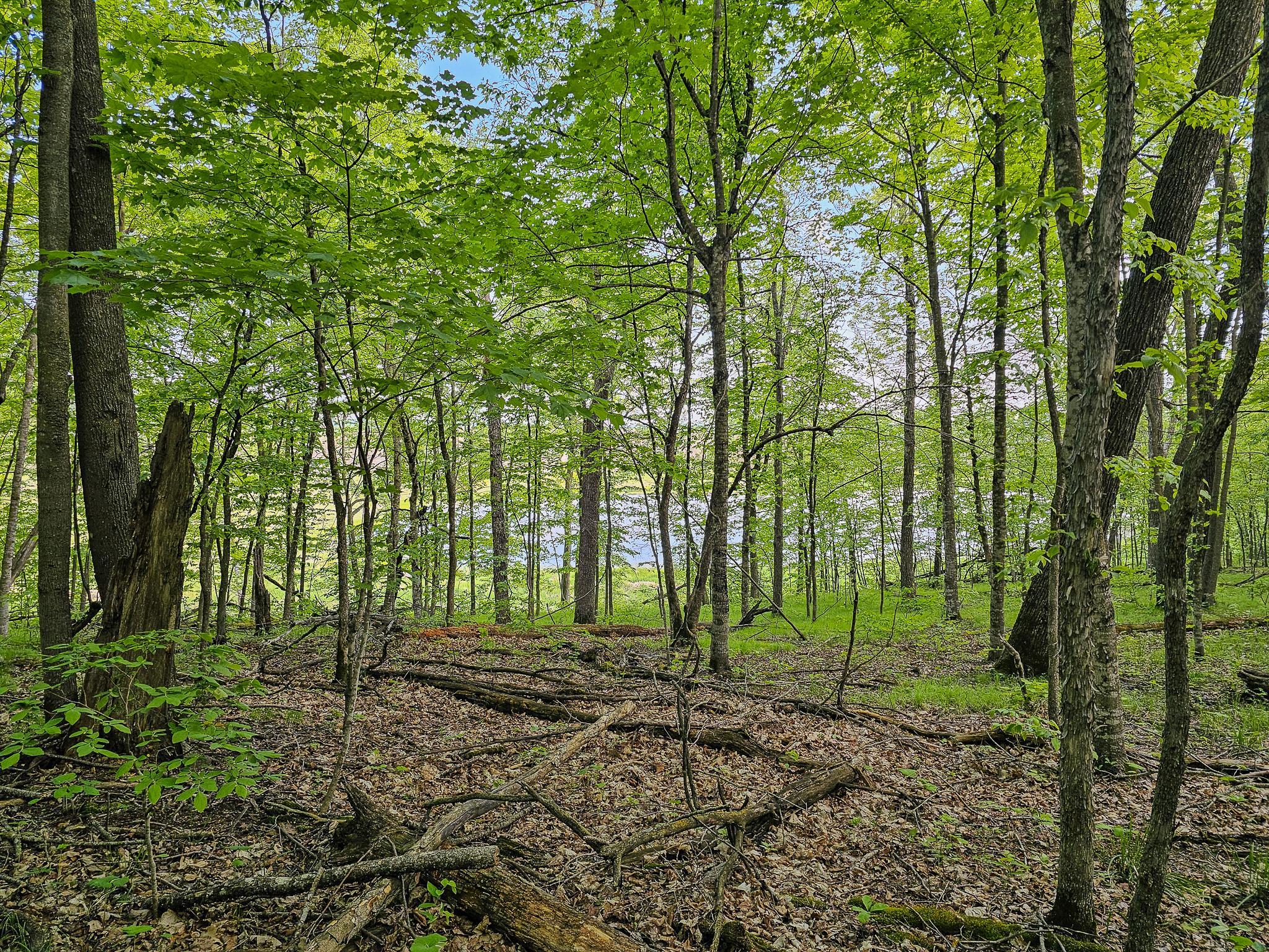 land for sale at 380XX 280th Ave [M] in Dent, MN (photo 15 of 17)