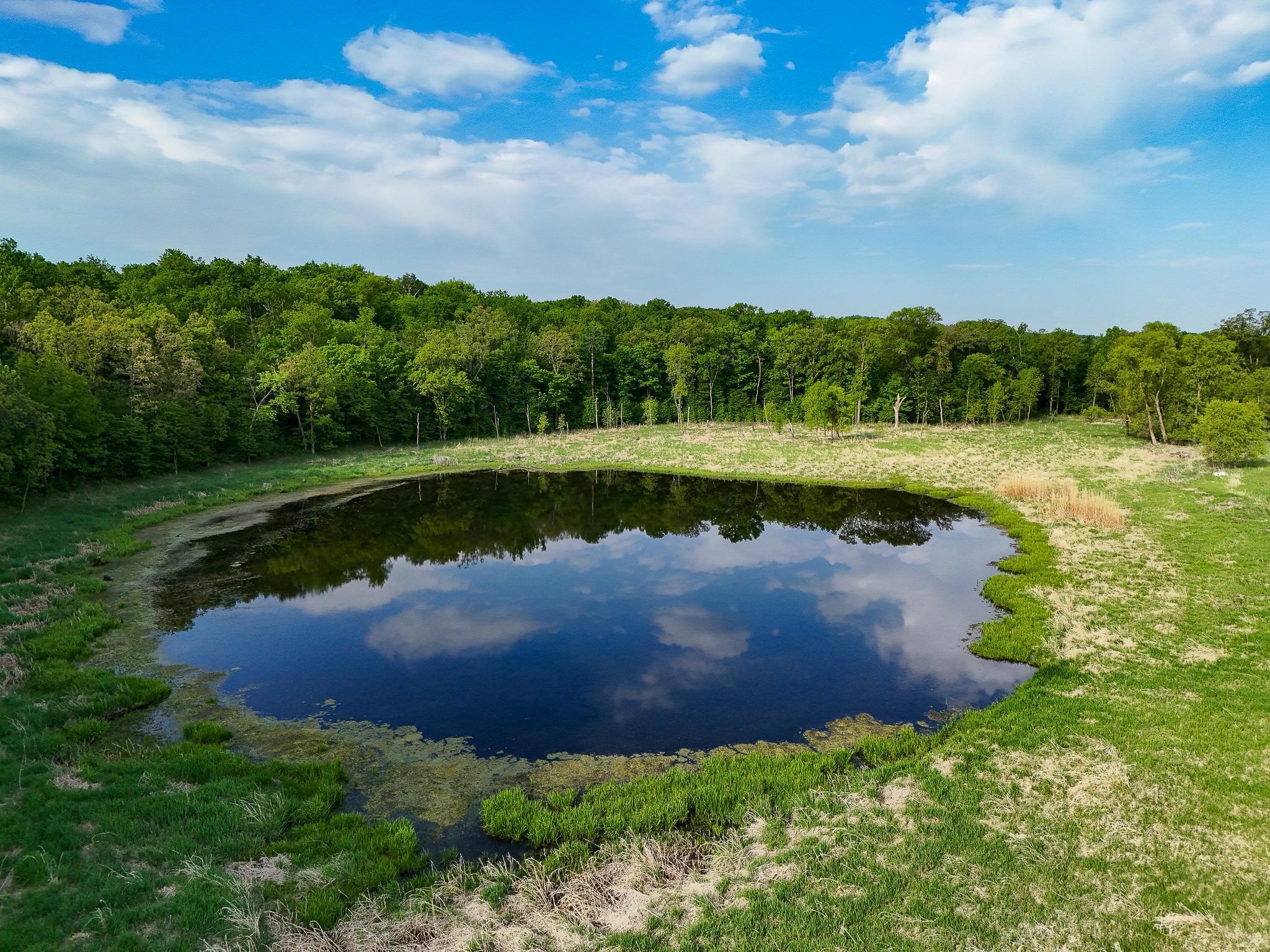 land for sale at 380XX 280th Ave [M] in Dent, MN (photo 16 of 17)
