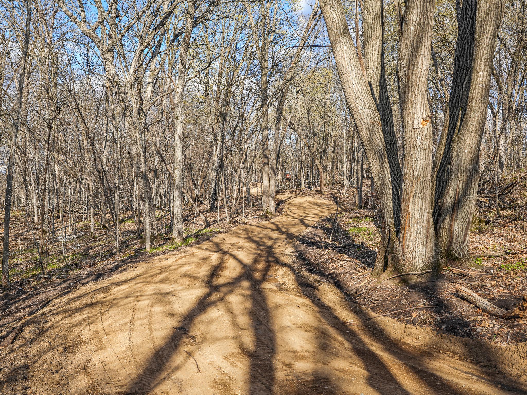 land for sale at 380XX 280th Ave [M] in Dent, MN (photo 8 of 17)