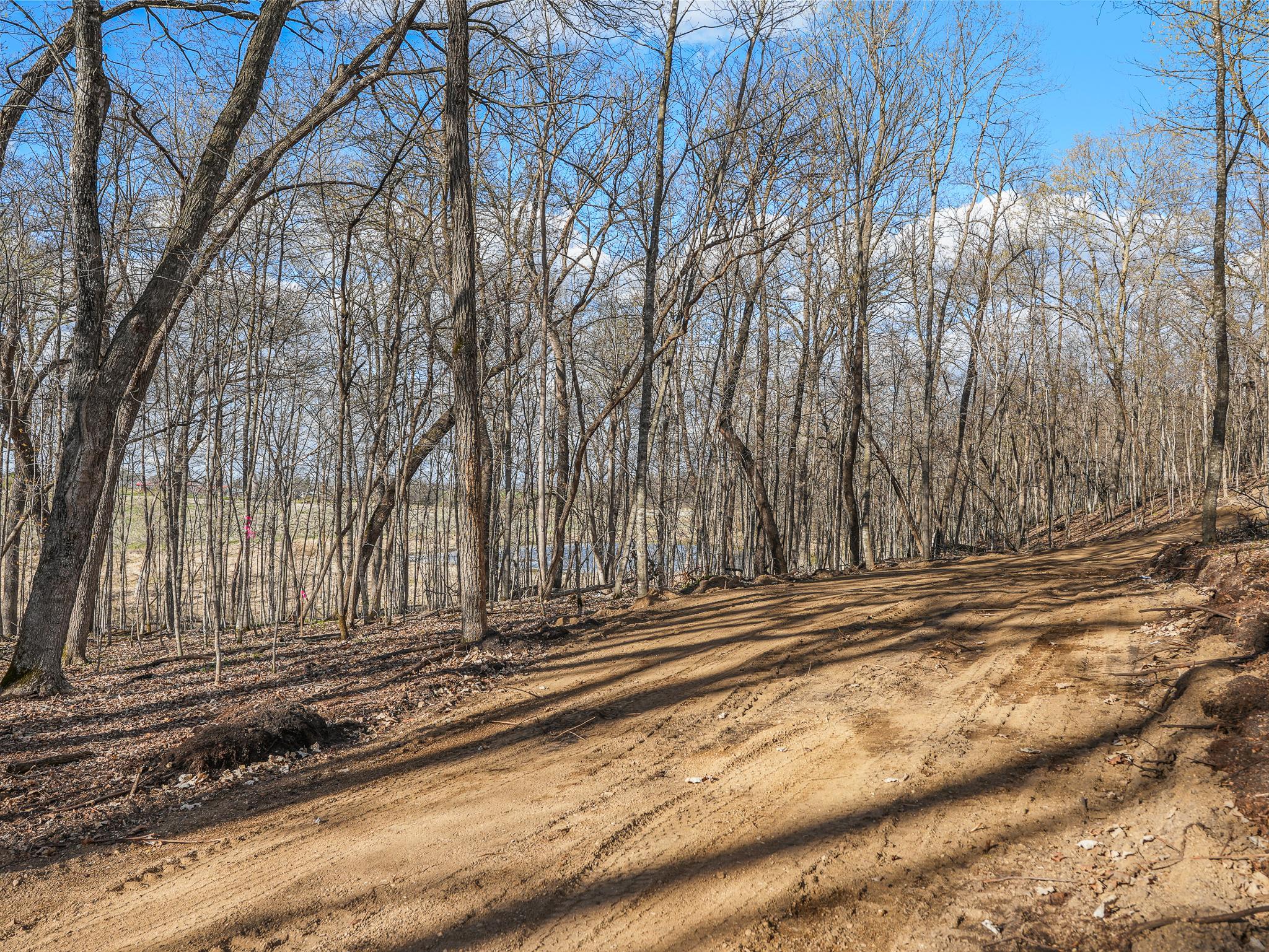 land for sale at 380XX 280th Ave [M] in Dent, MN (photo 9 of 17)