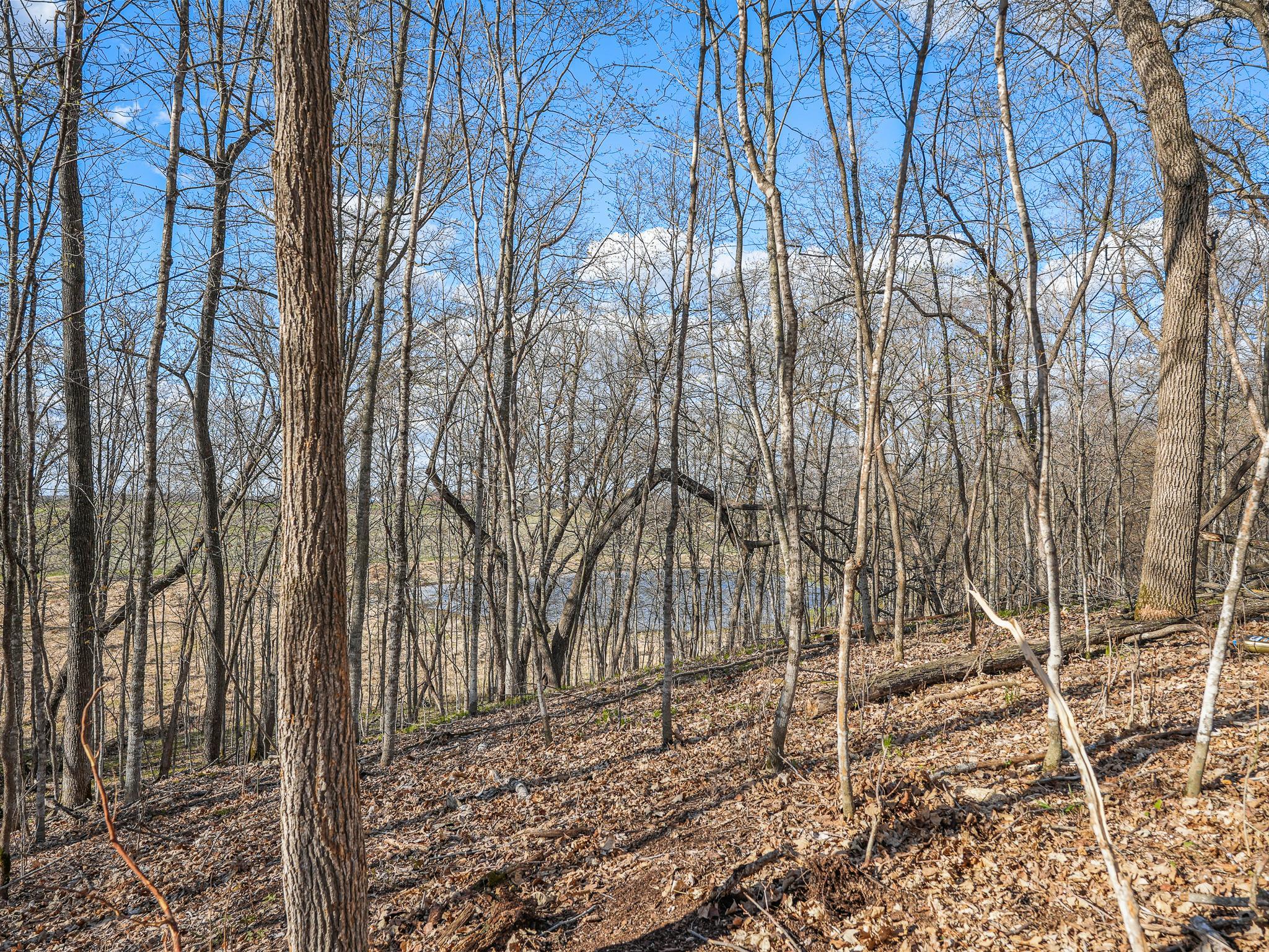 land for sale at 380XX 280th Ave [M] in Dent, MN (photo 10 of 17)